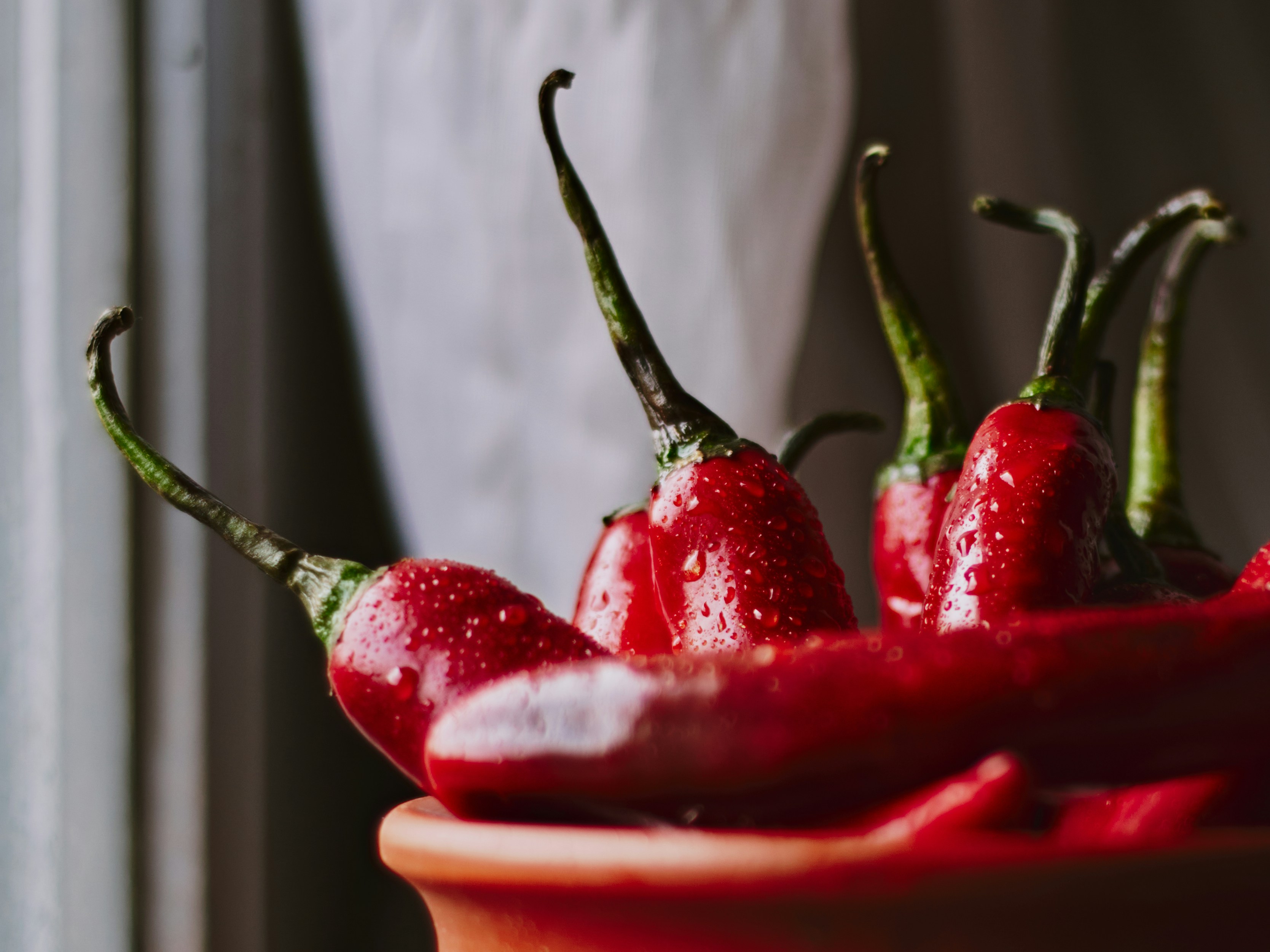 Photo by naderayman_photography