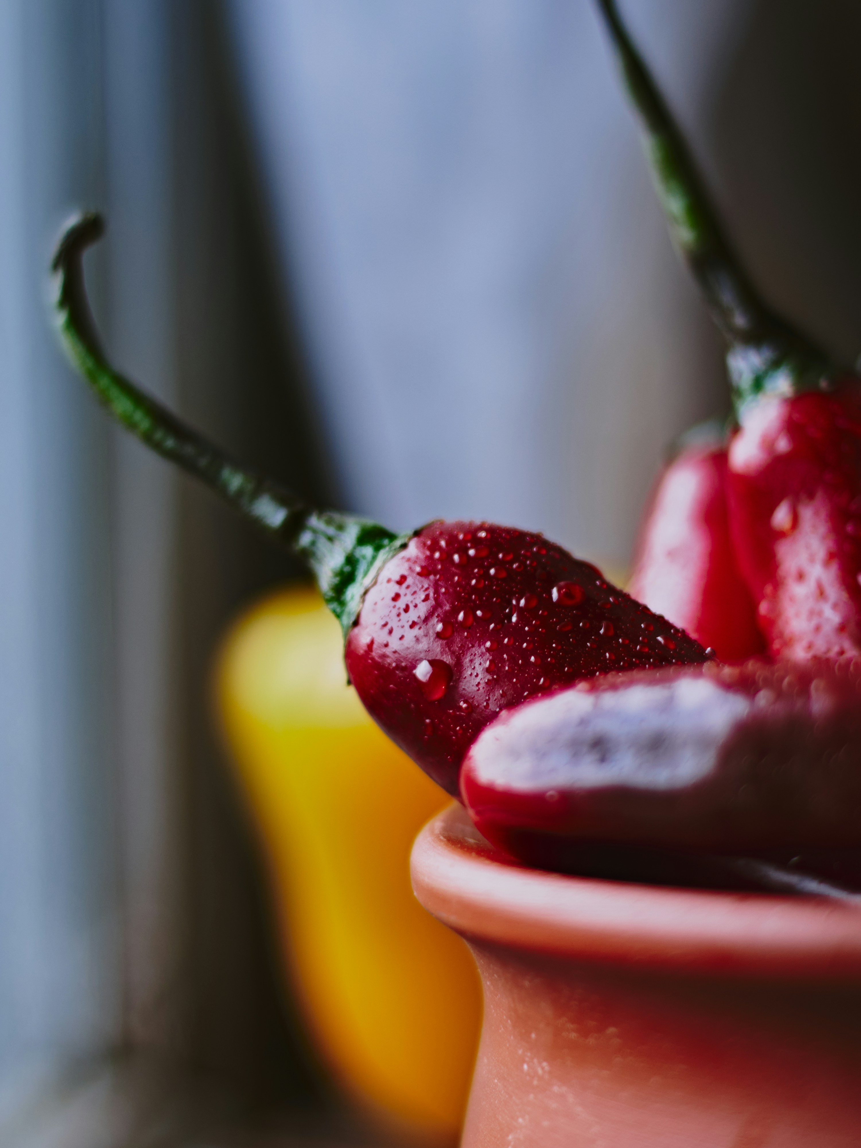 Photo by naderayman_photography