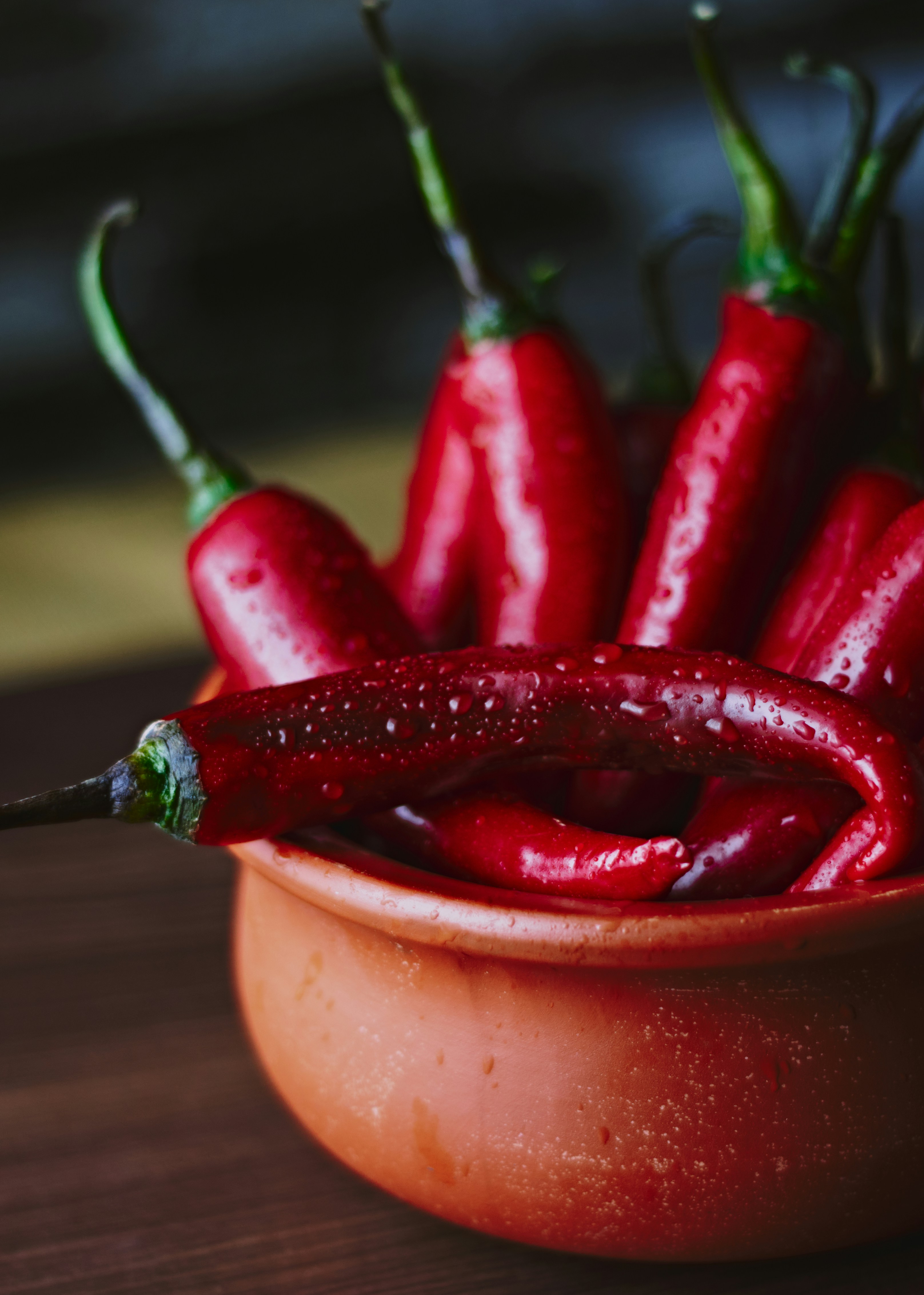 Photo by naderayman_photography