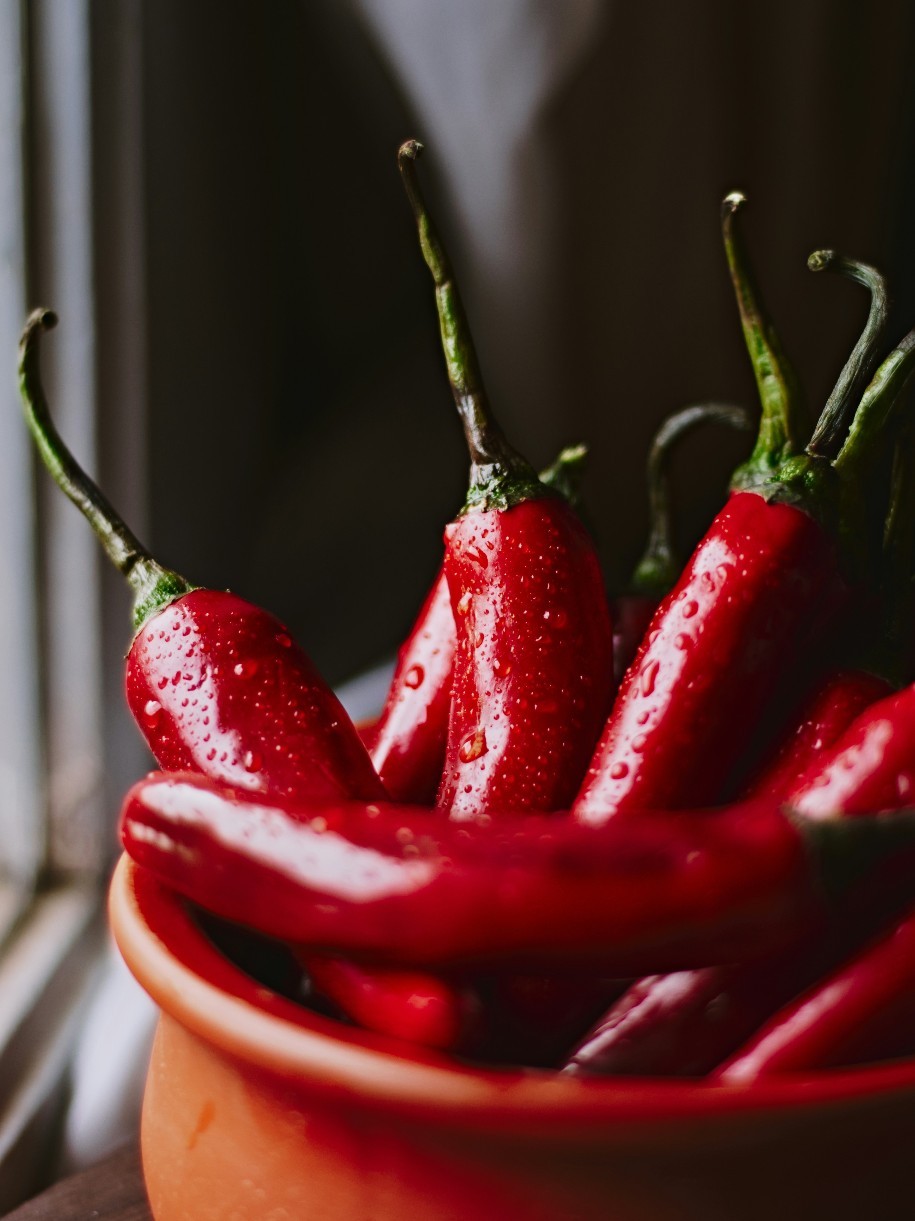 Photo by naderayman_photography