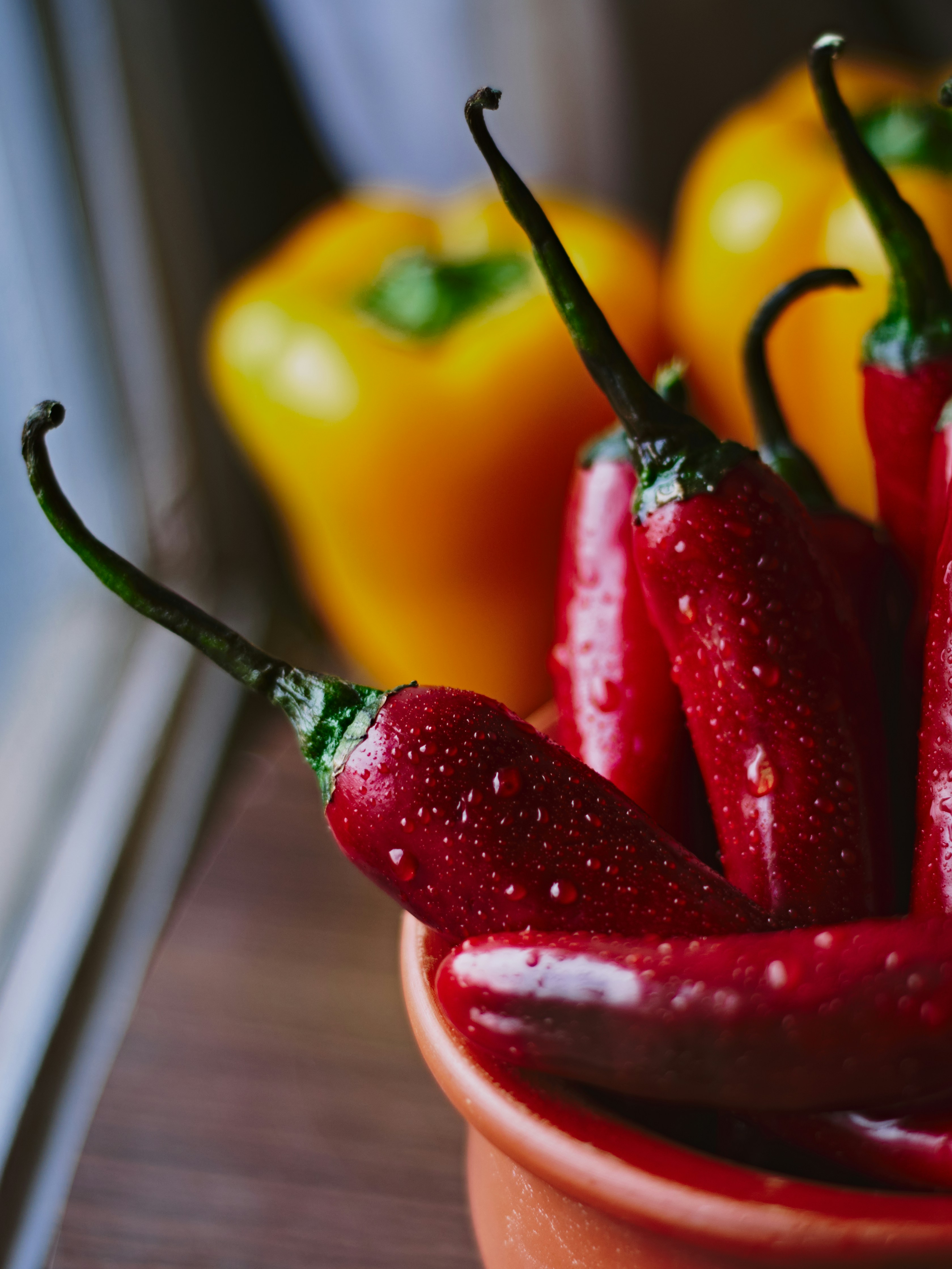 Photo by naderayman_photography