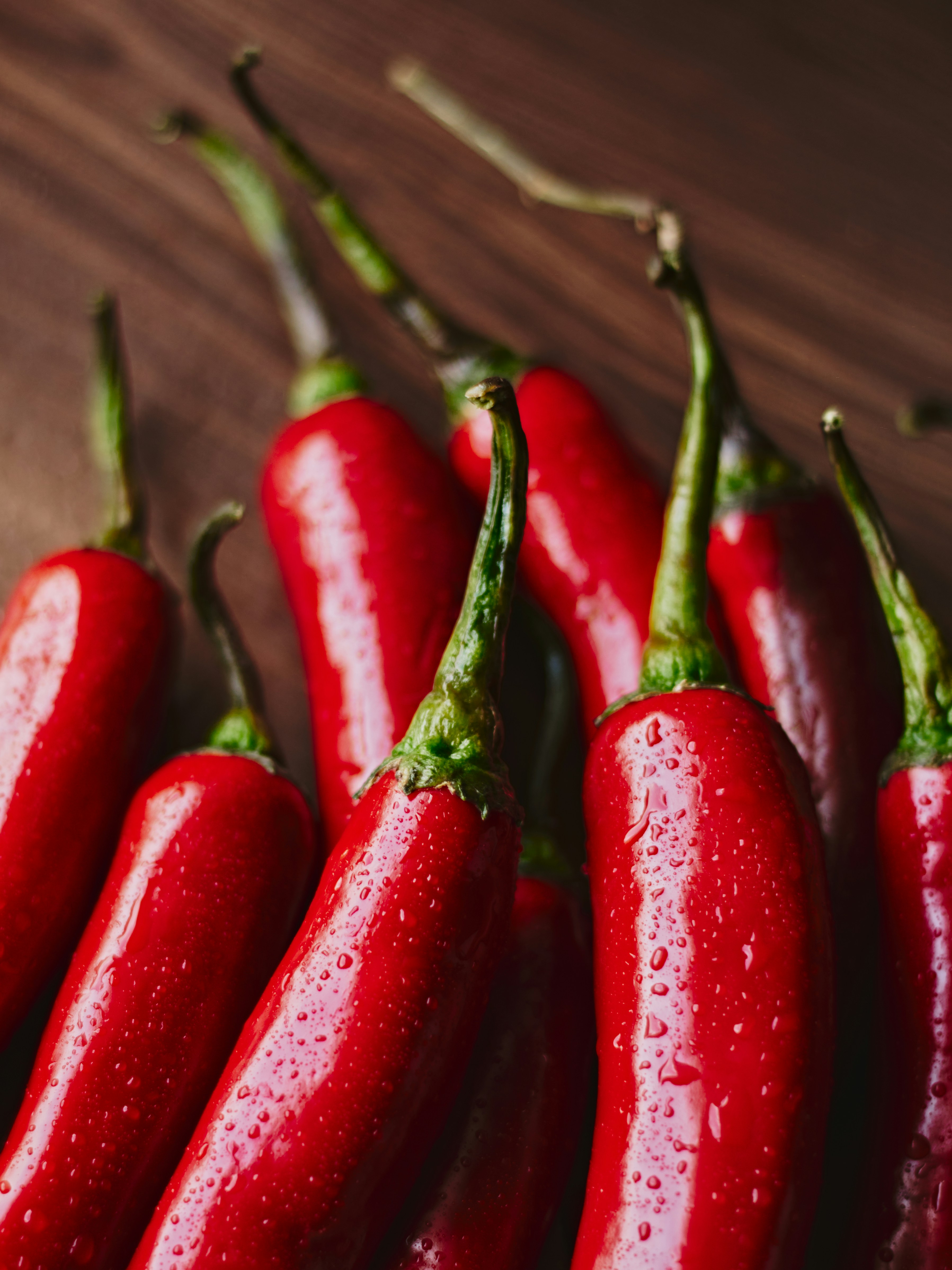 Photo by naderayman_photography