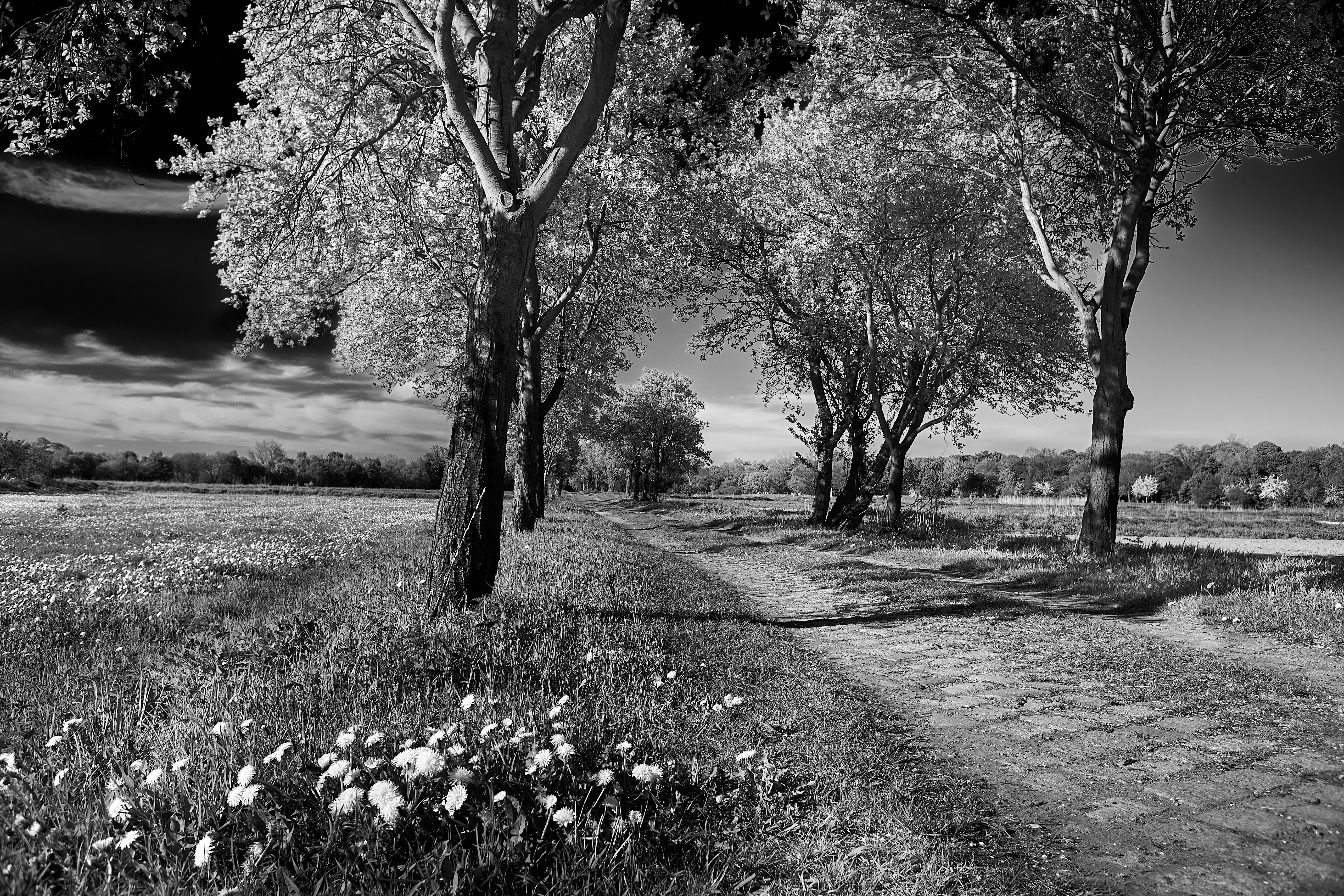 Photo by jenstakesphotos