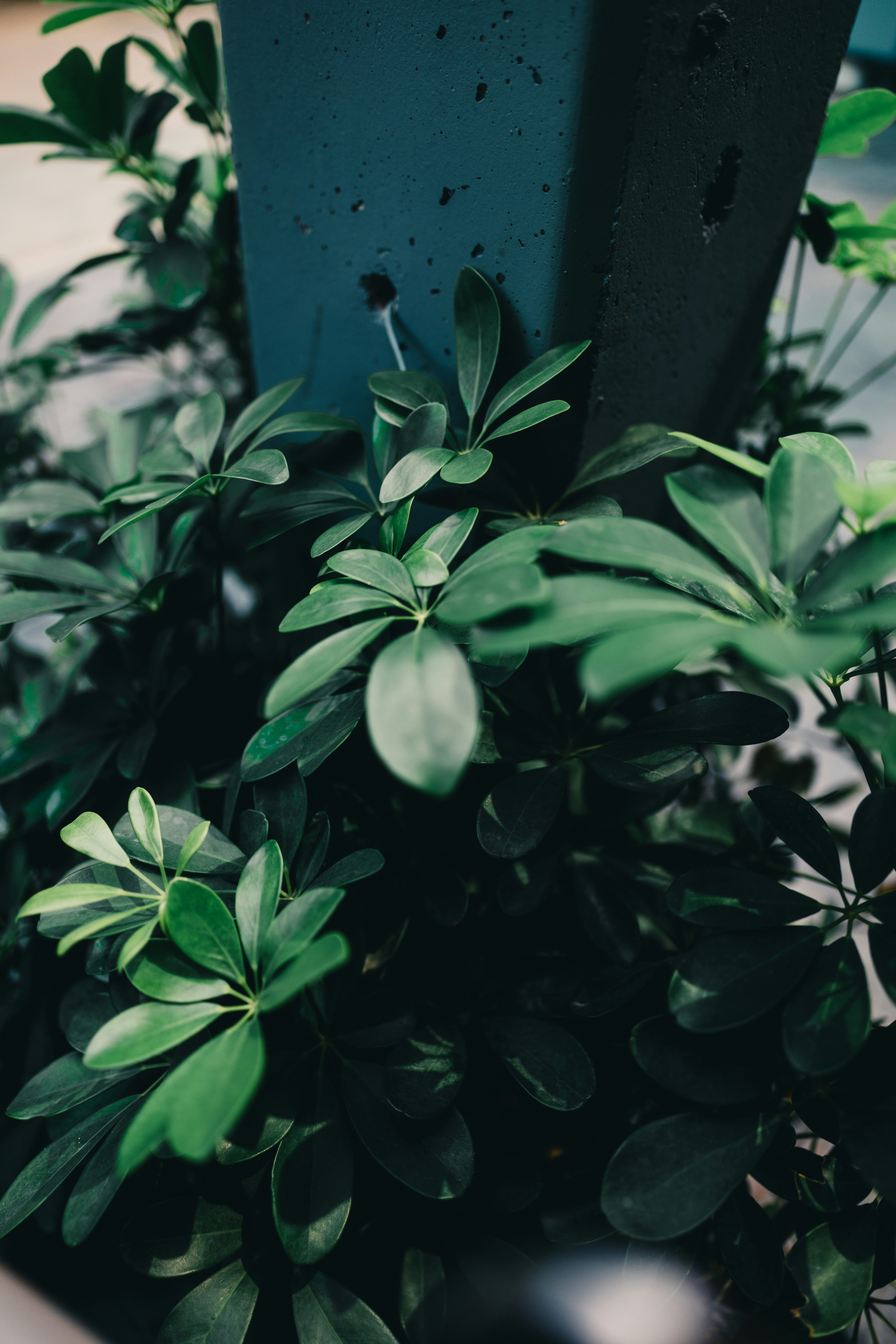 Photo by lureofadventure