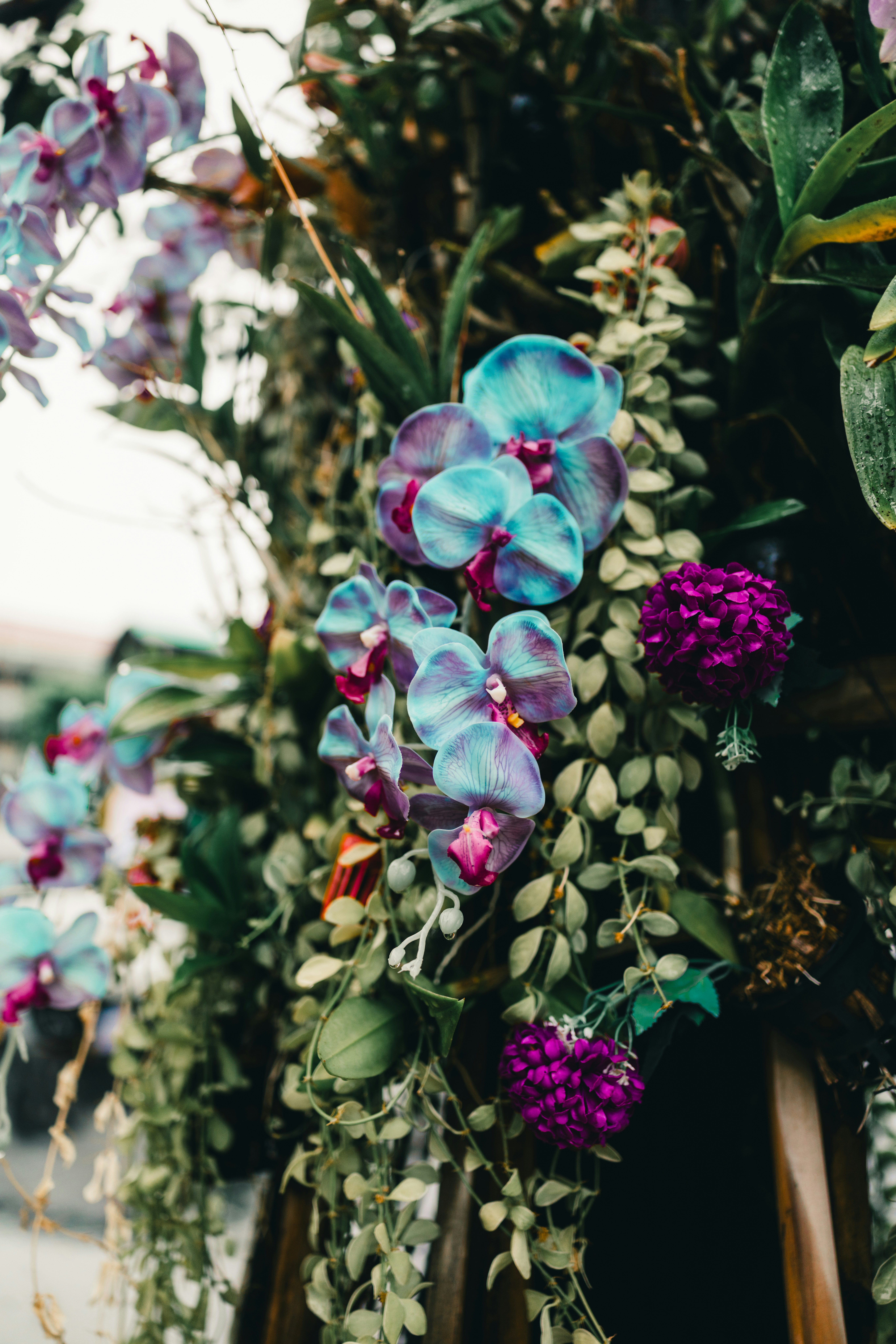 Photo by lureofadventure