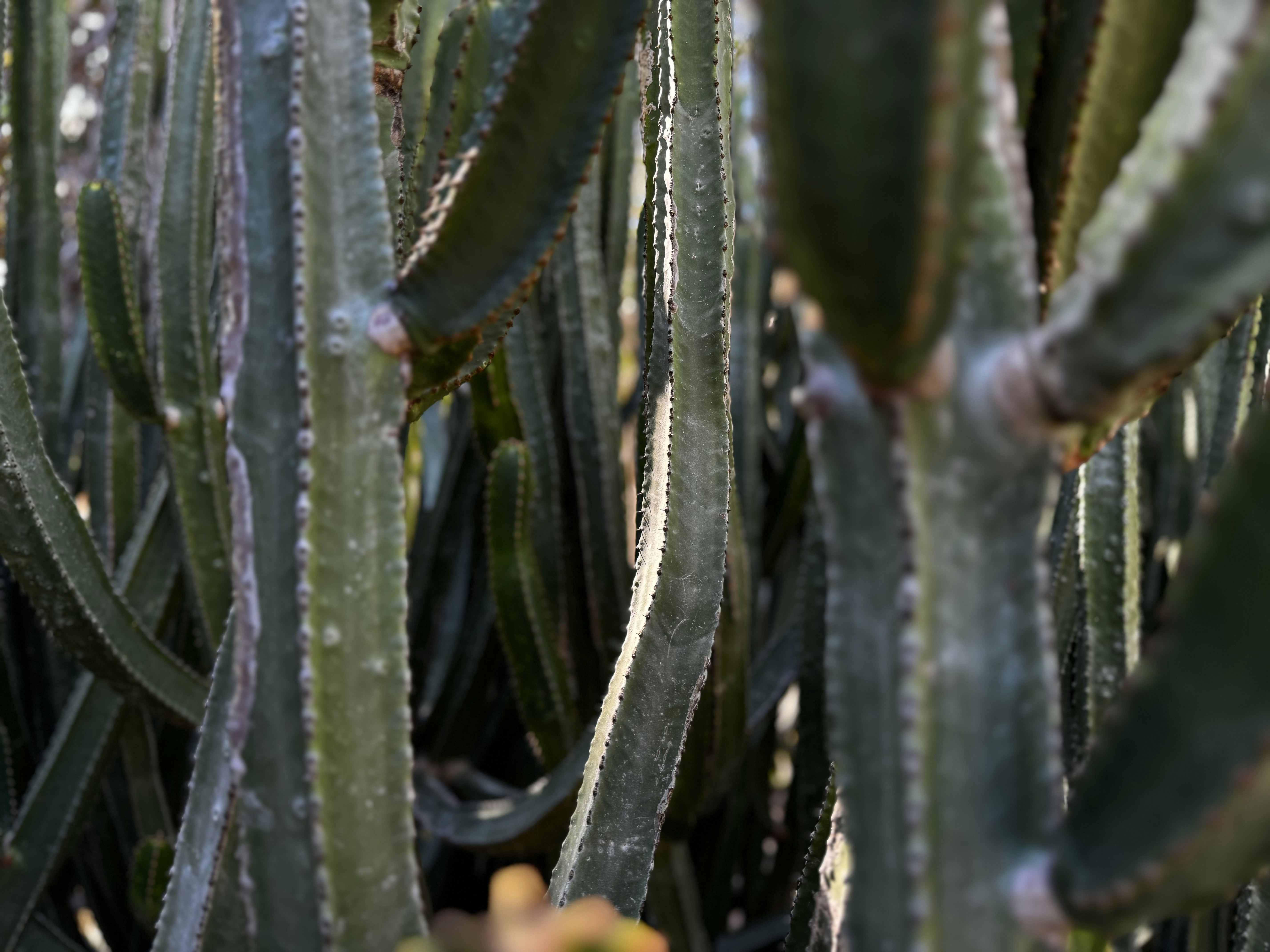 Photo by divine_rapier