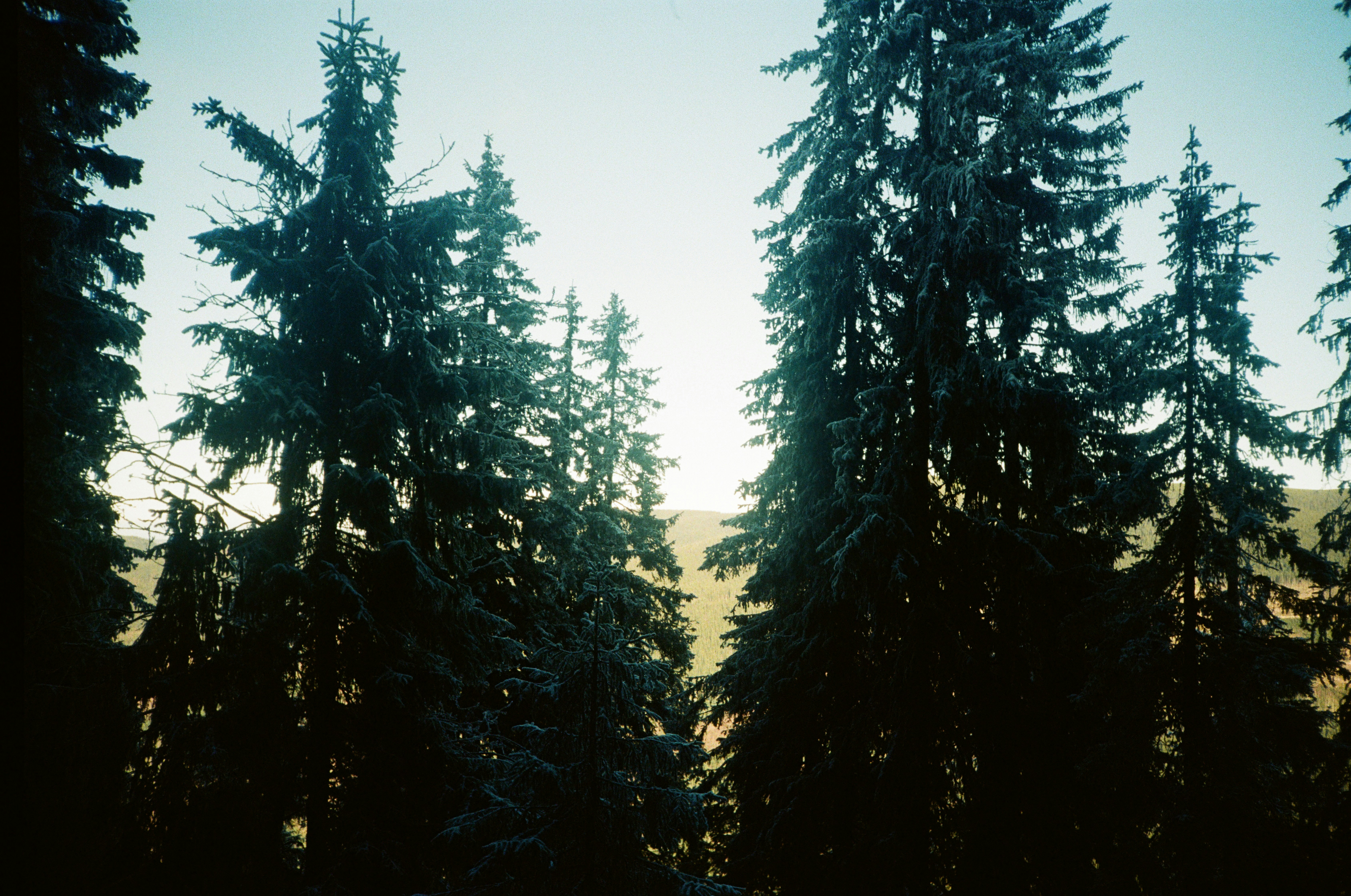 Photo by r_inascimento