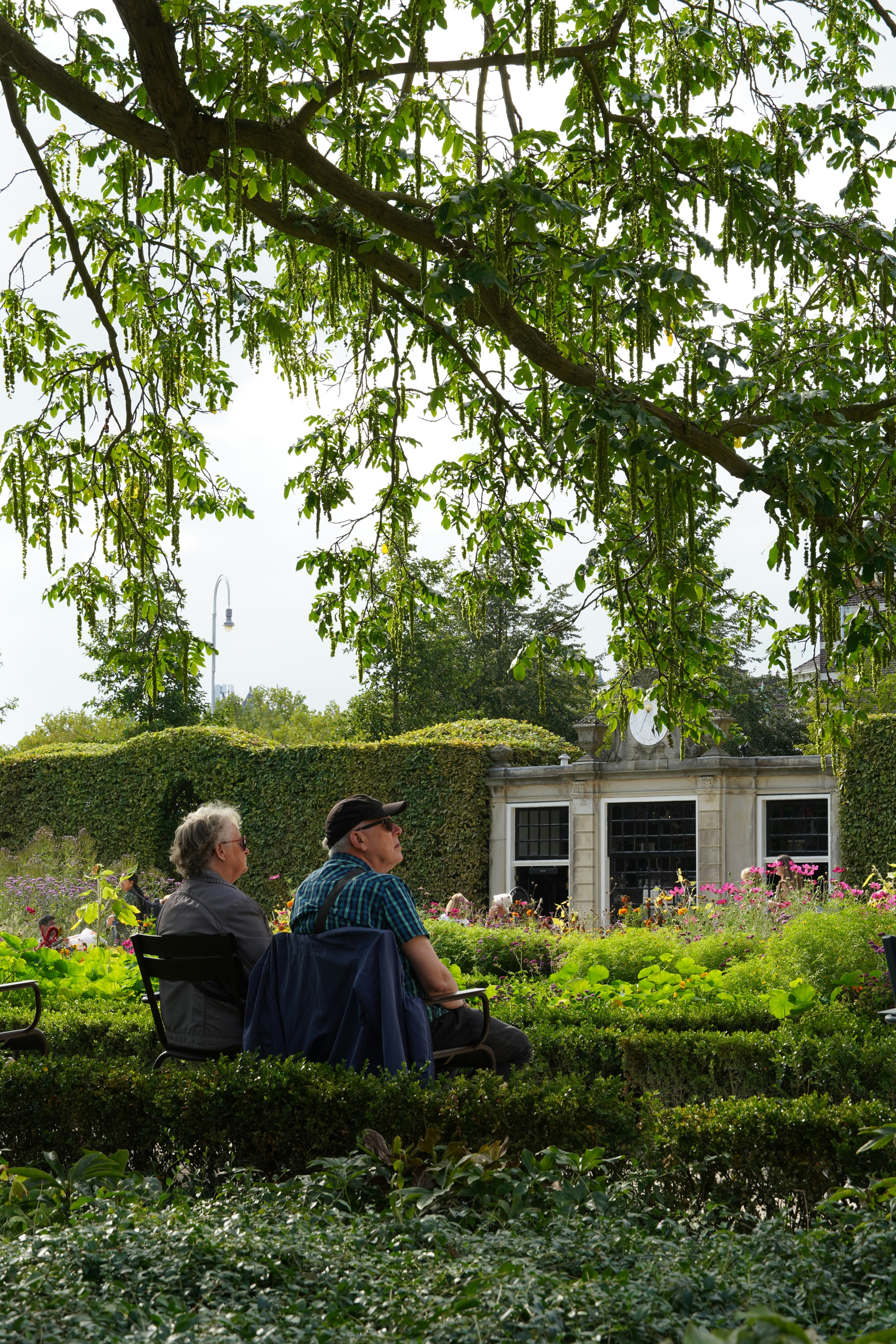 Couple sits in garden, shaded by a tree.