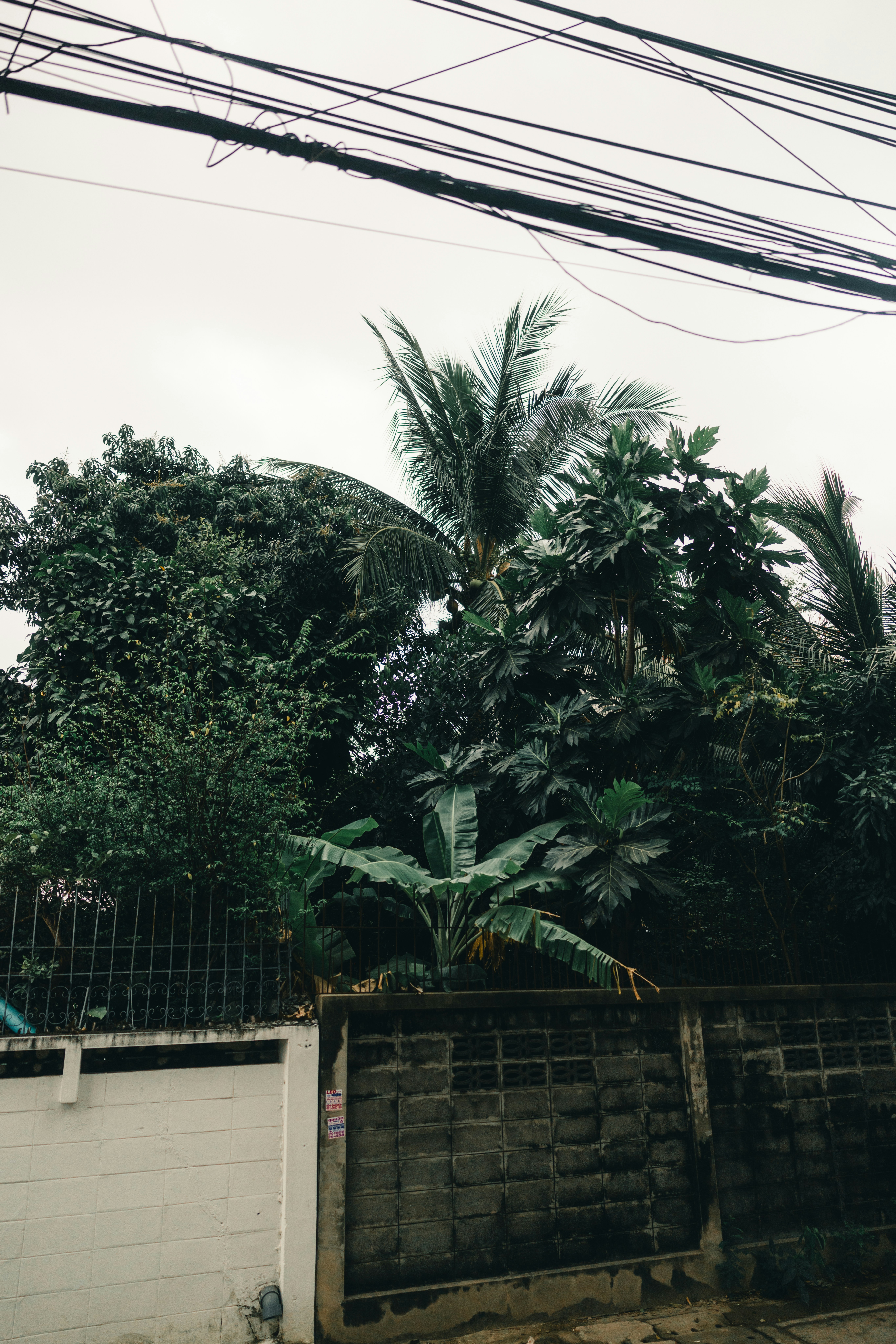 Photo by lureofadventure