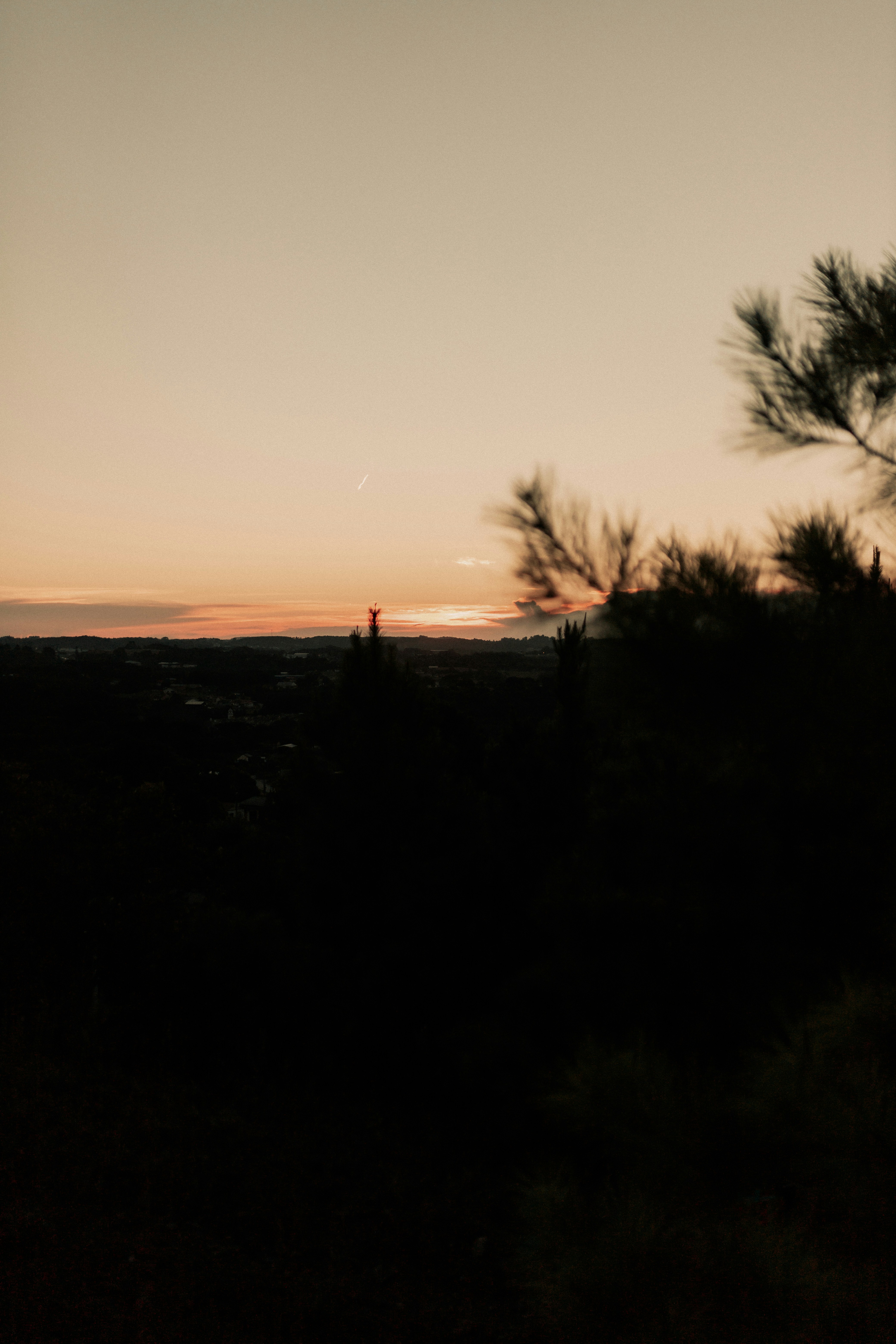 Photo by alexandermassph