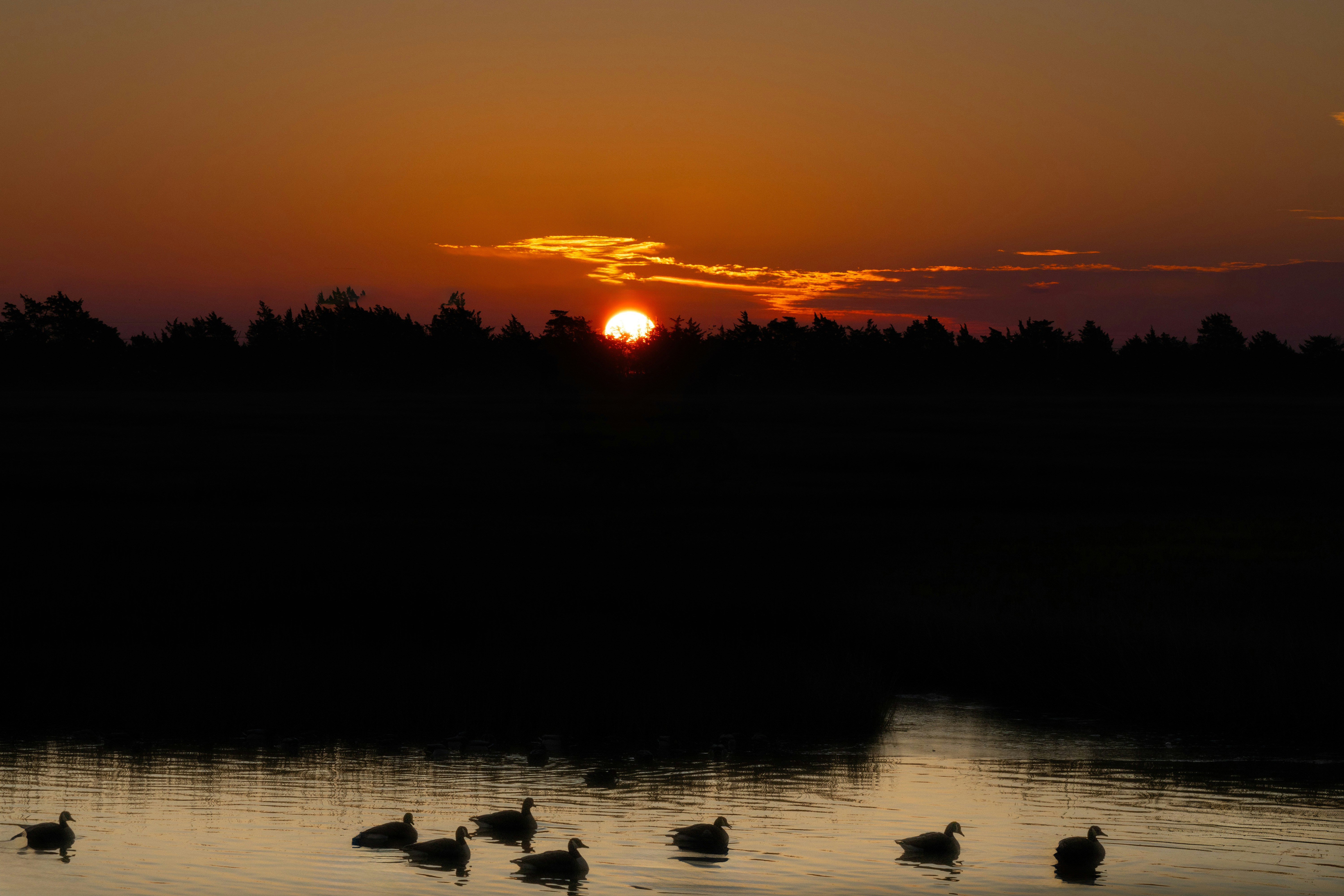 Photo by dawncasey