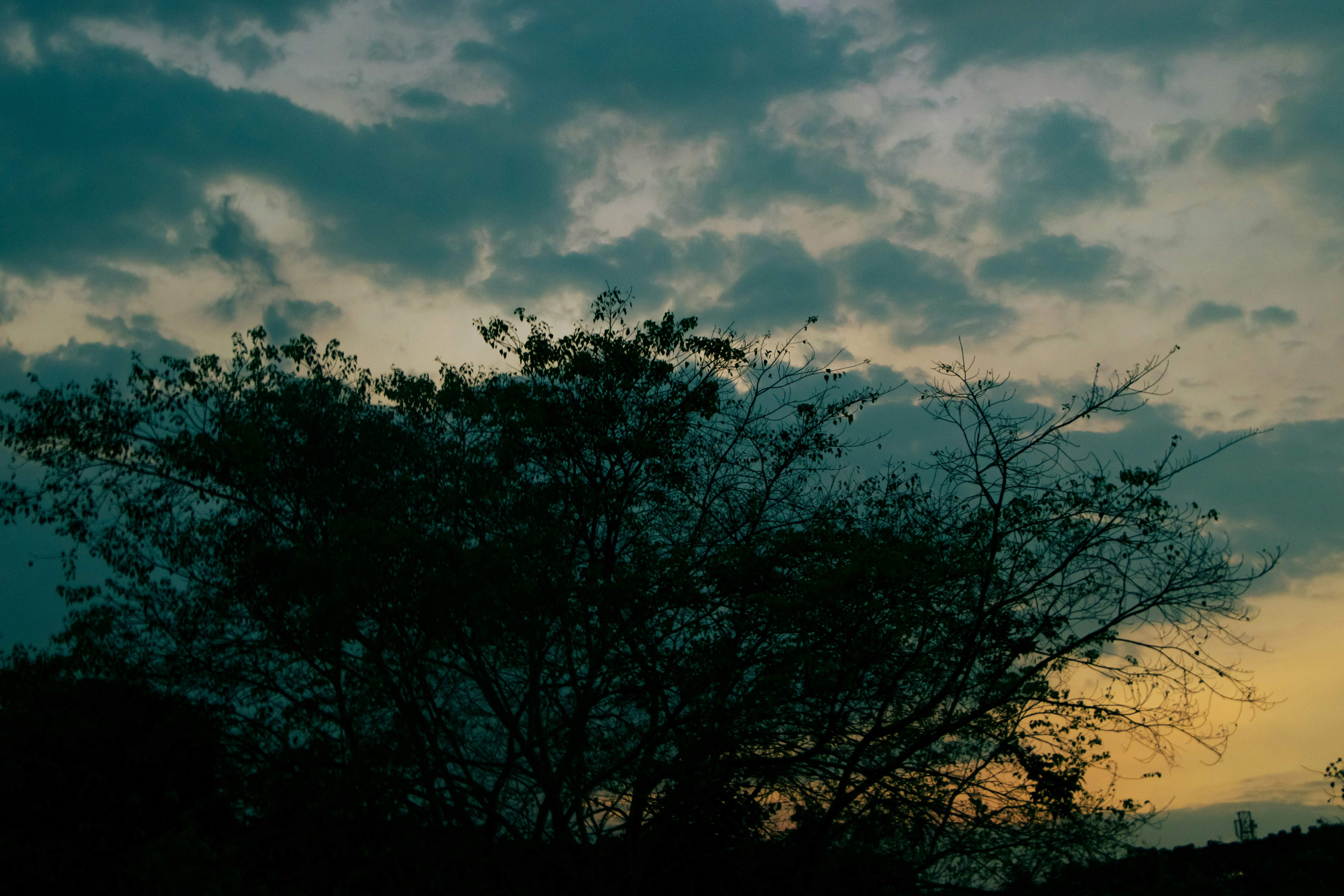 Photo by theinthanzaw6102