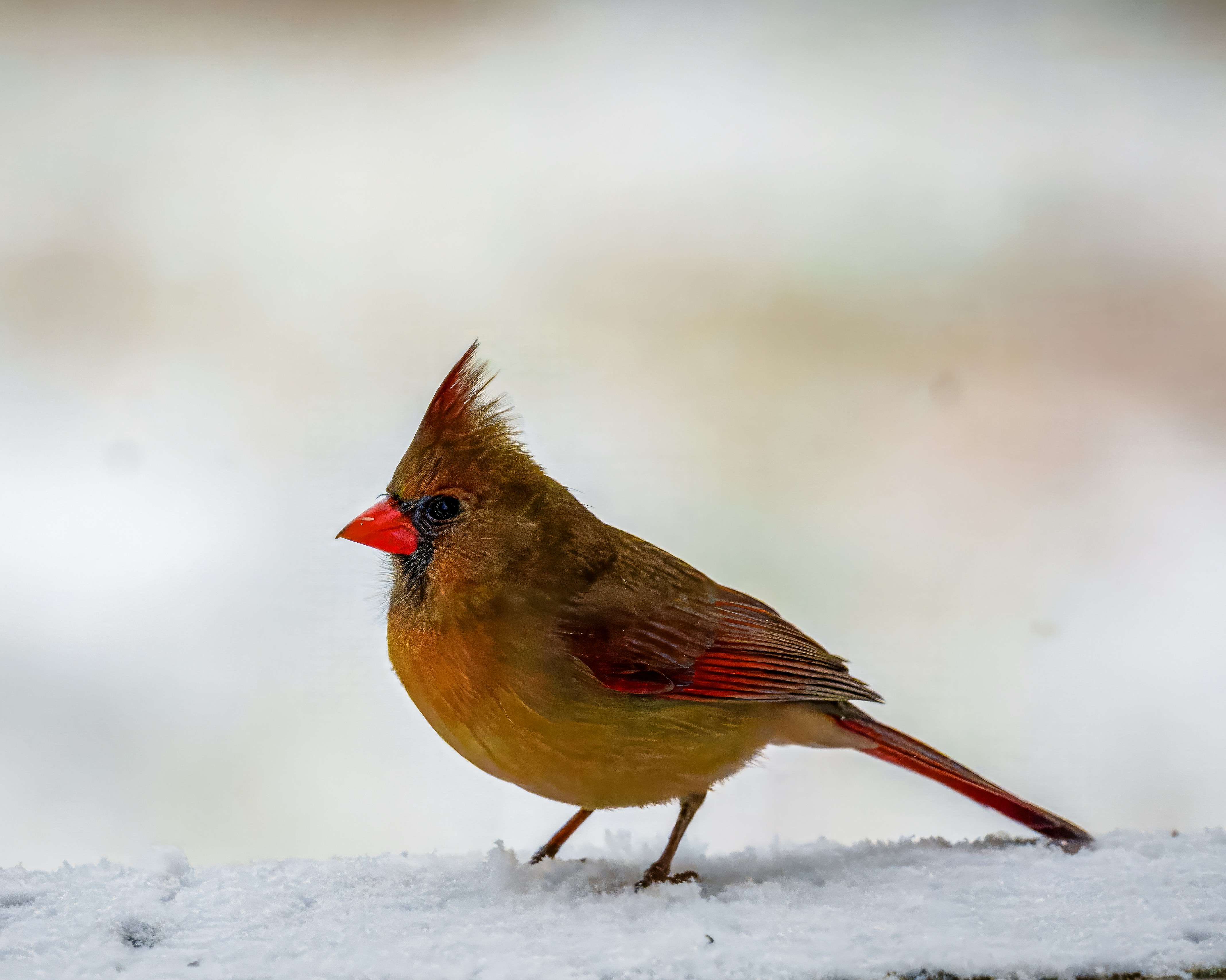 Photo by caseycalhoun