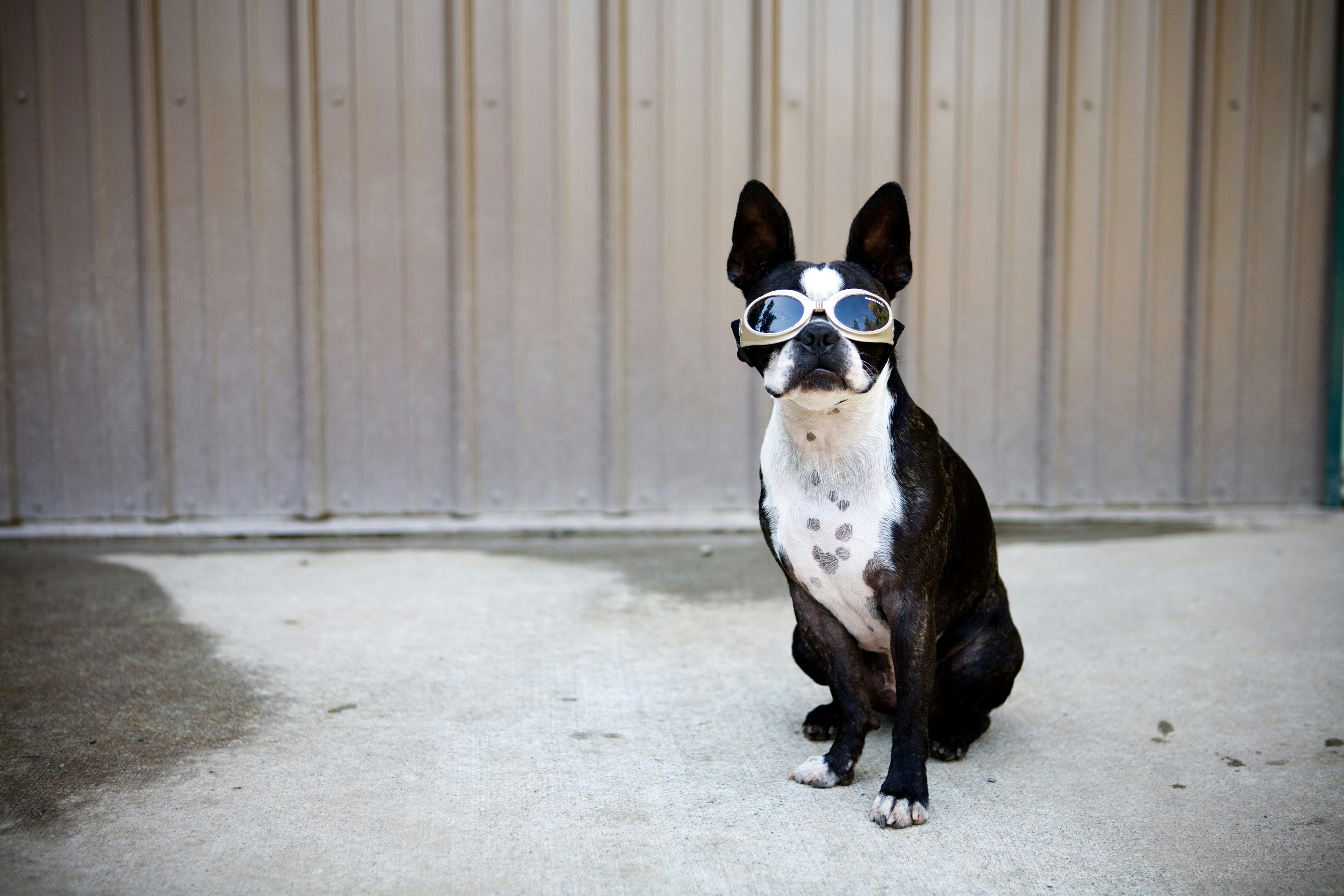 Transform Your Daily Routine with These Essential Lifestyle Upgrades