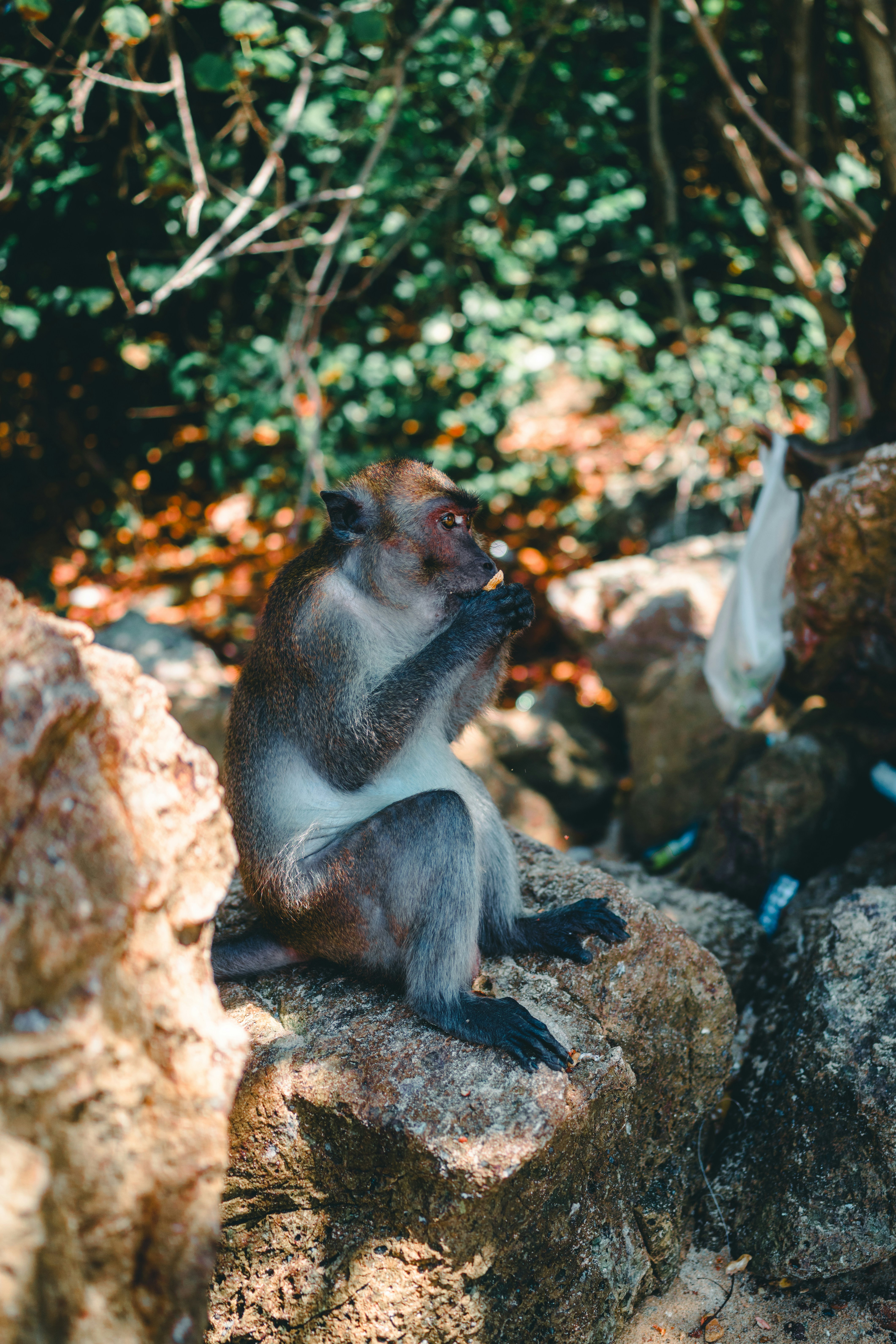 Photo by lureofadventure