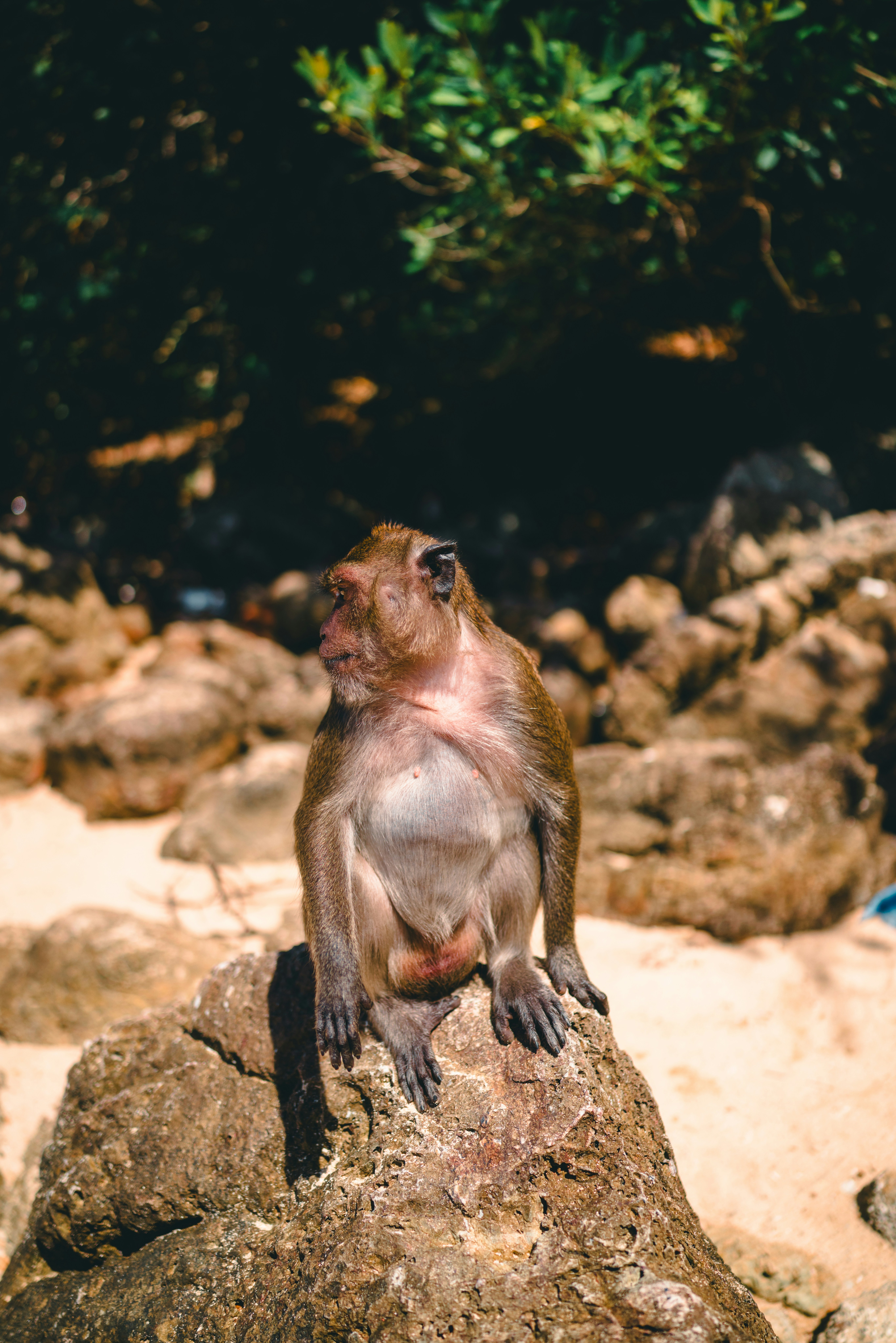 Photo by lureofadventure