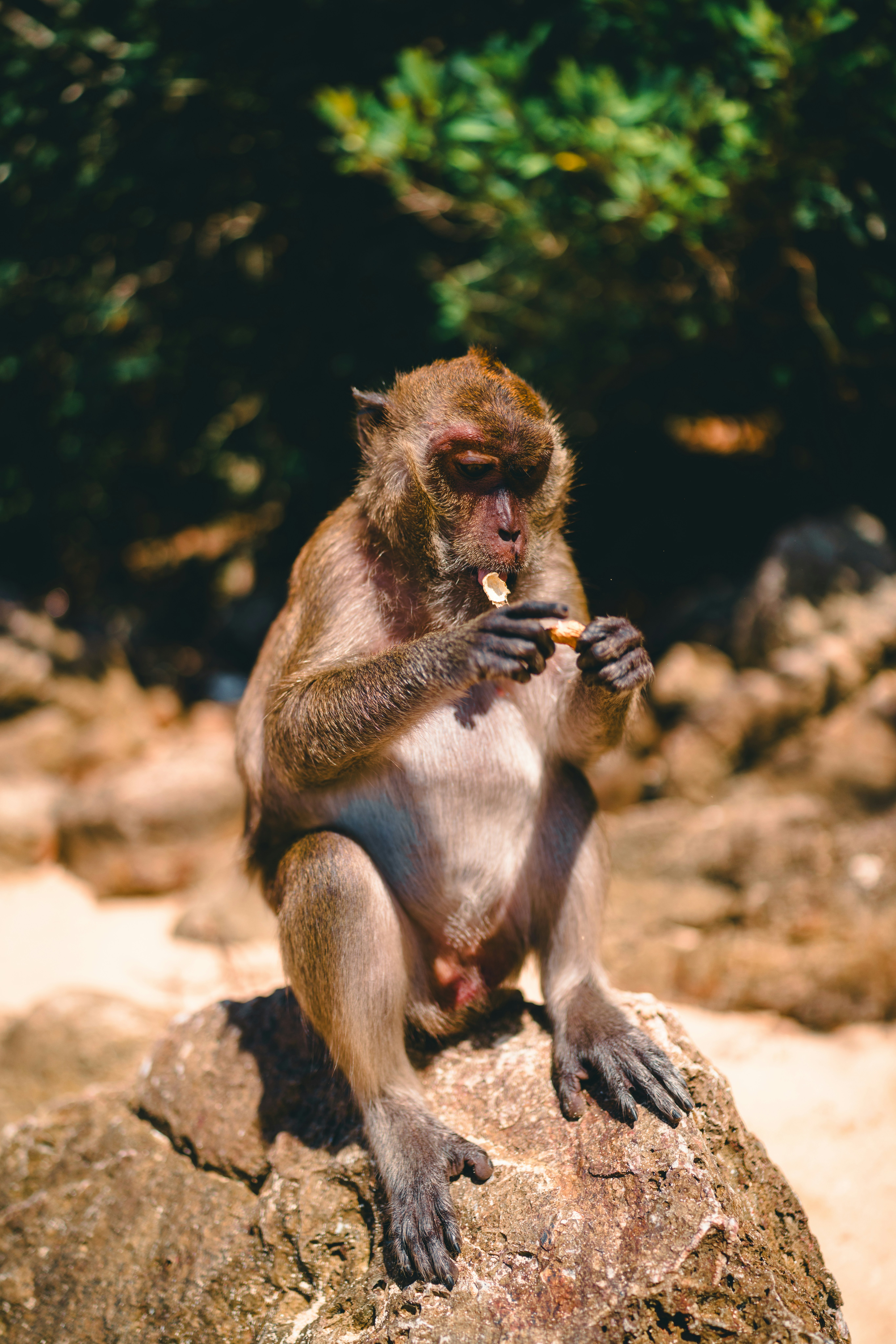 Photo by lureofadventure