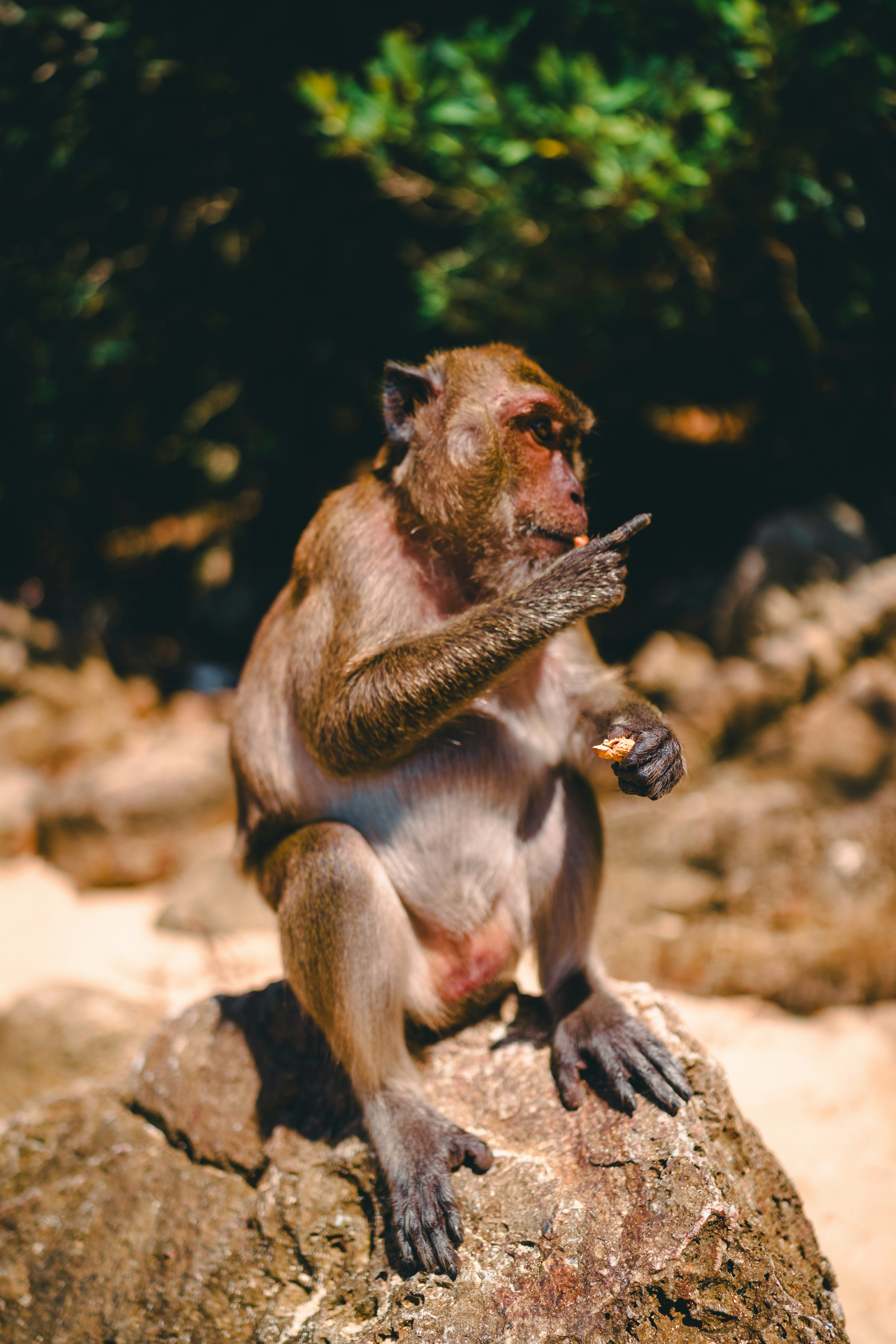 Photo by lureofadventure