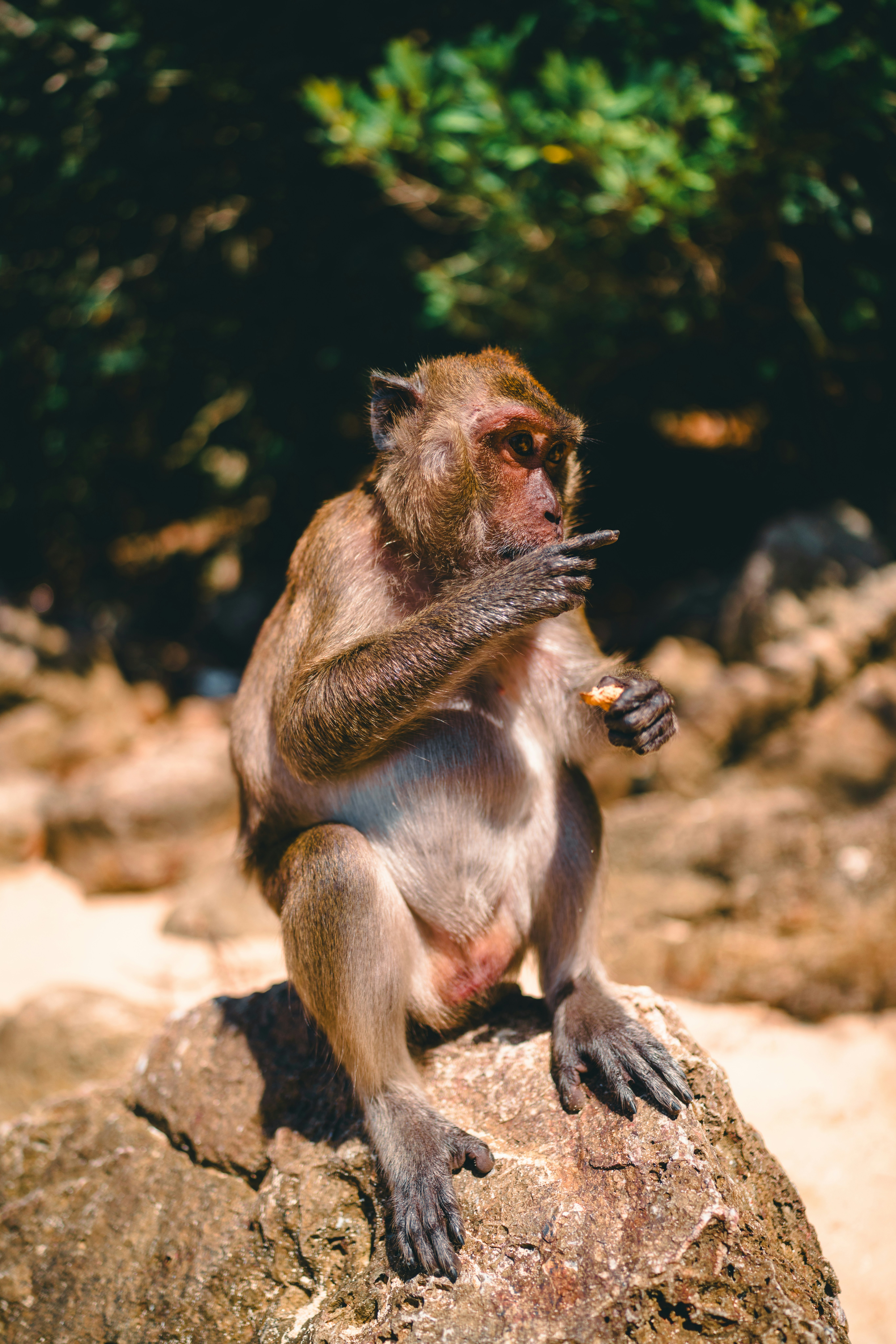 Photo by lureofadventure