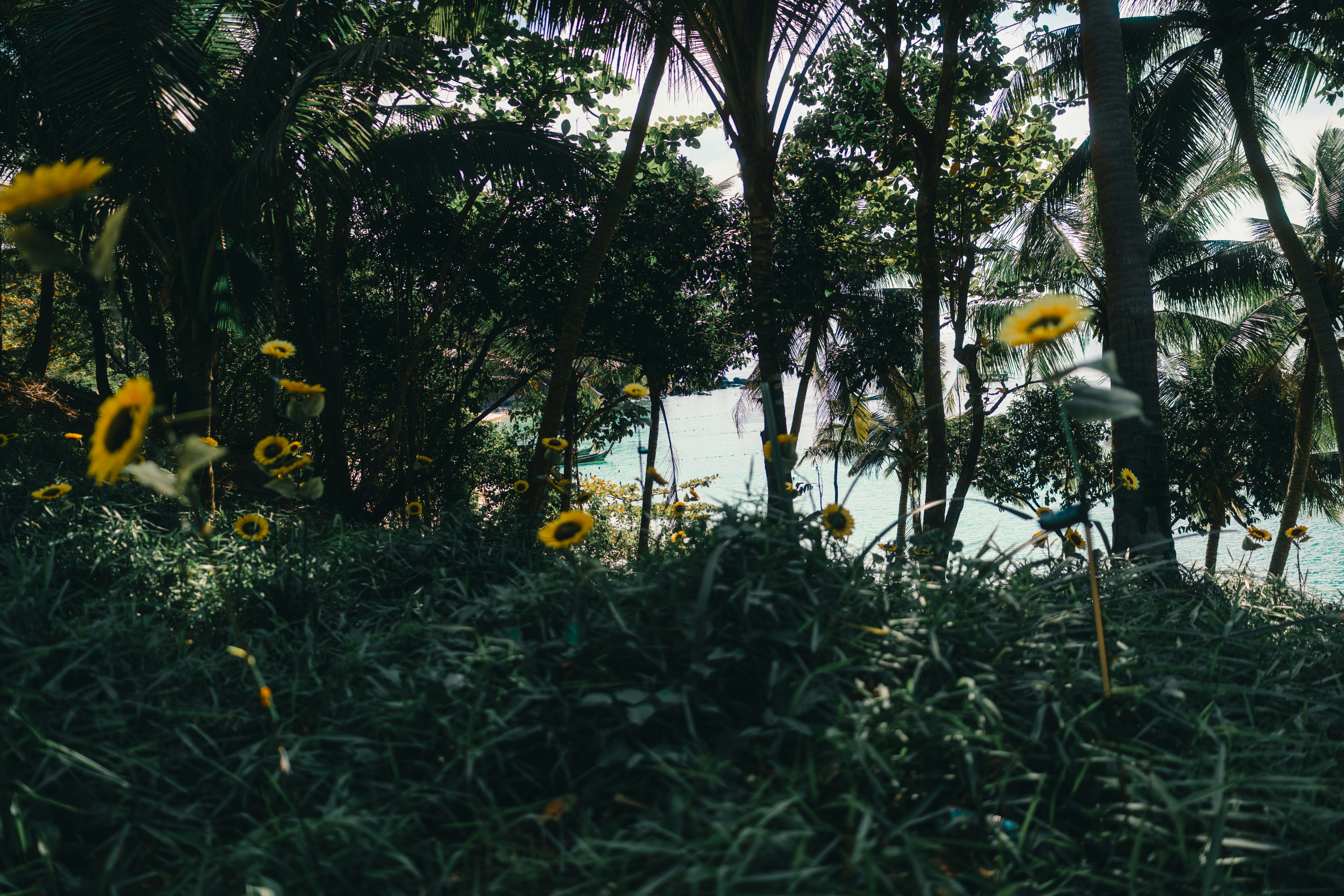 Photo by lureofadventure