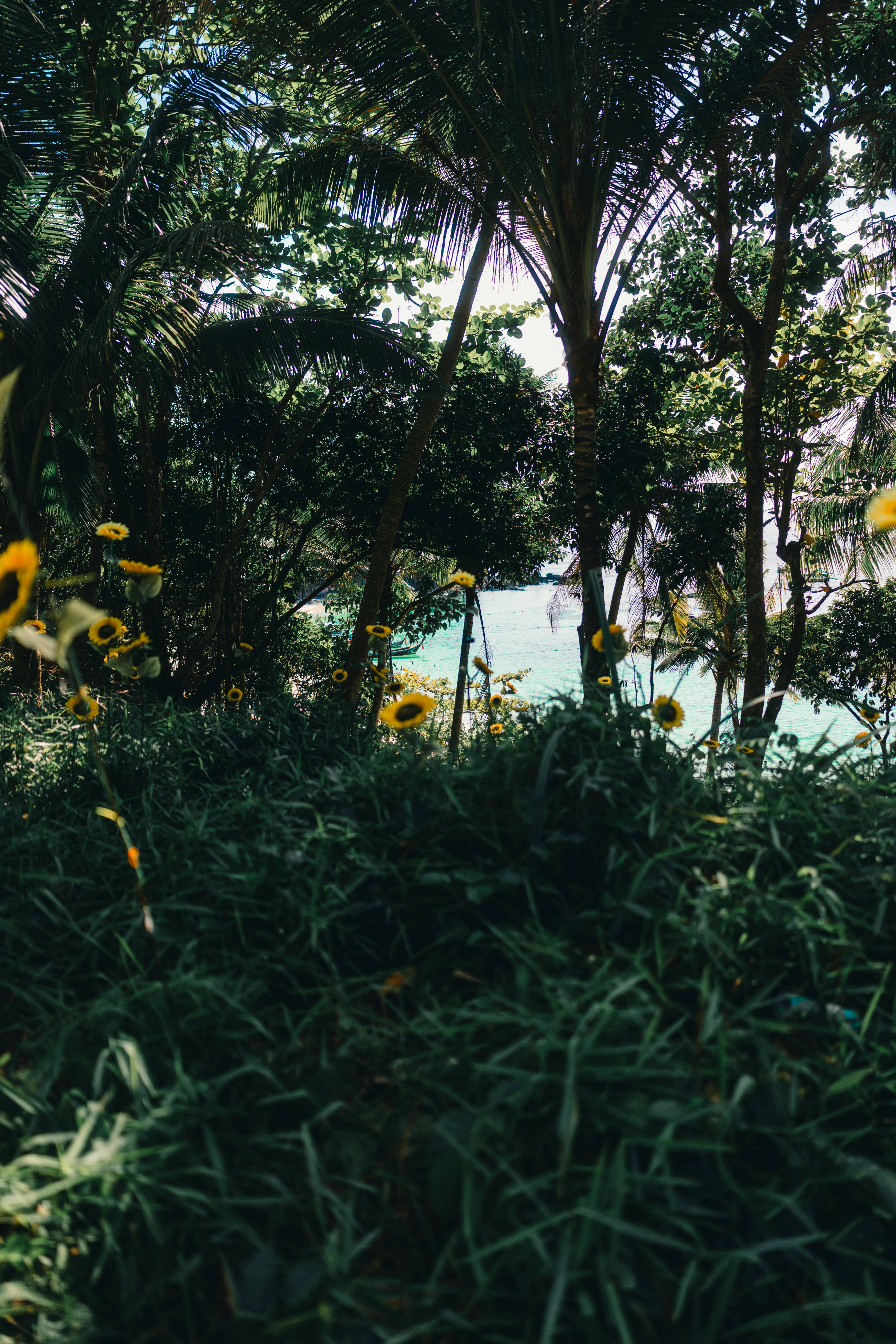 Photo by lureofadventure