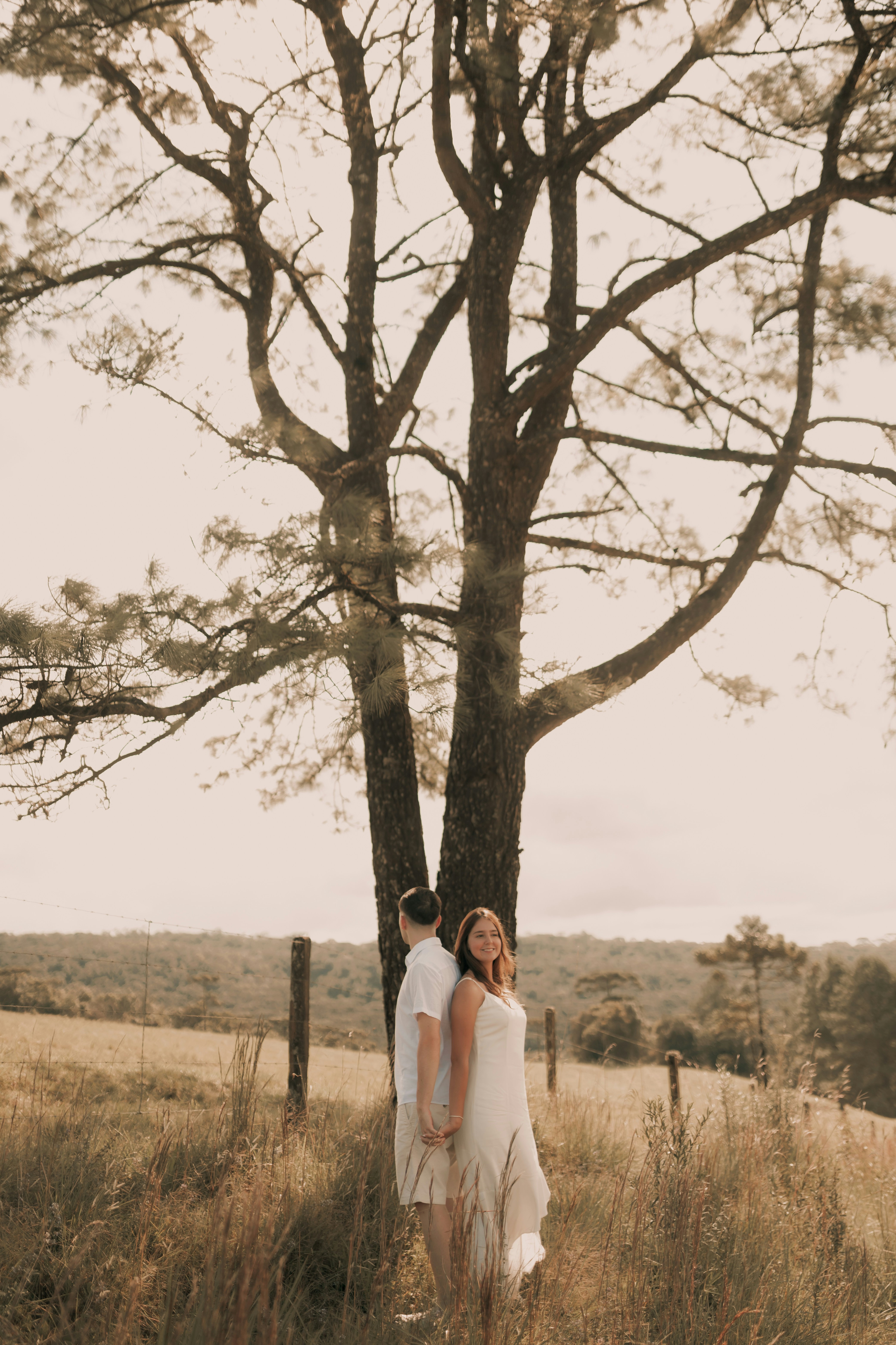 Photo by alexandermassph