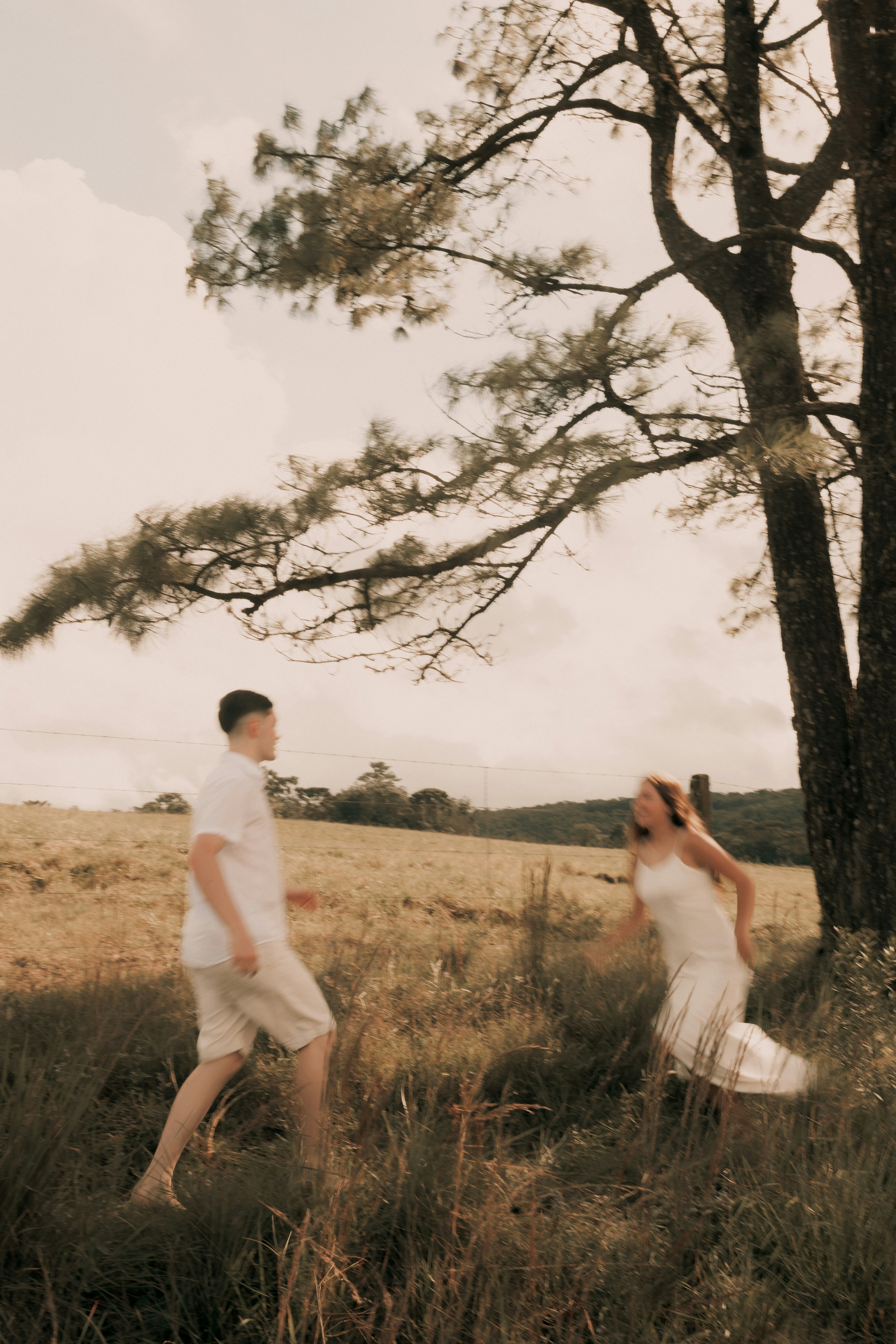 Photo by alexandermassph