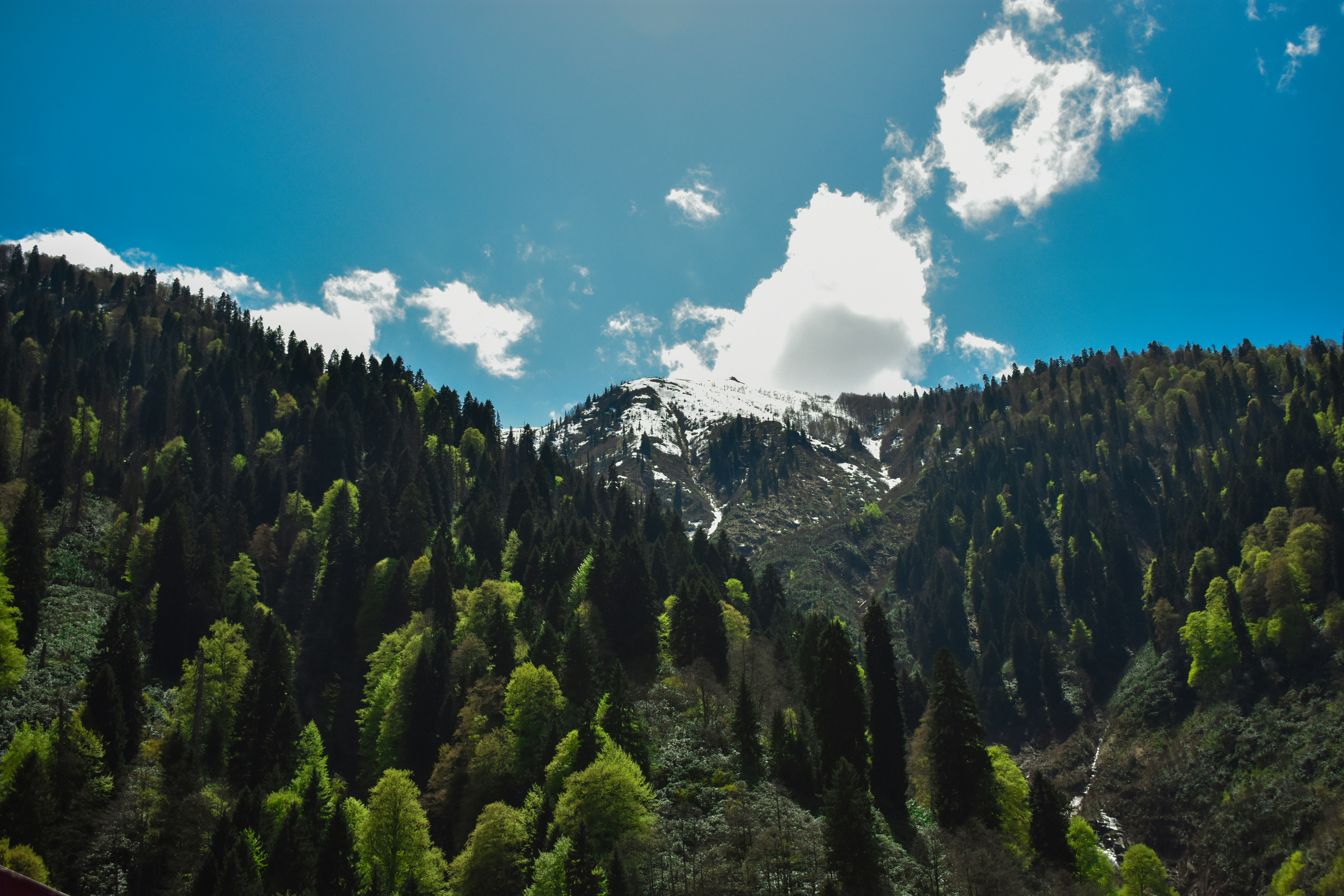 Photo by nisacokokumus