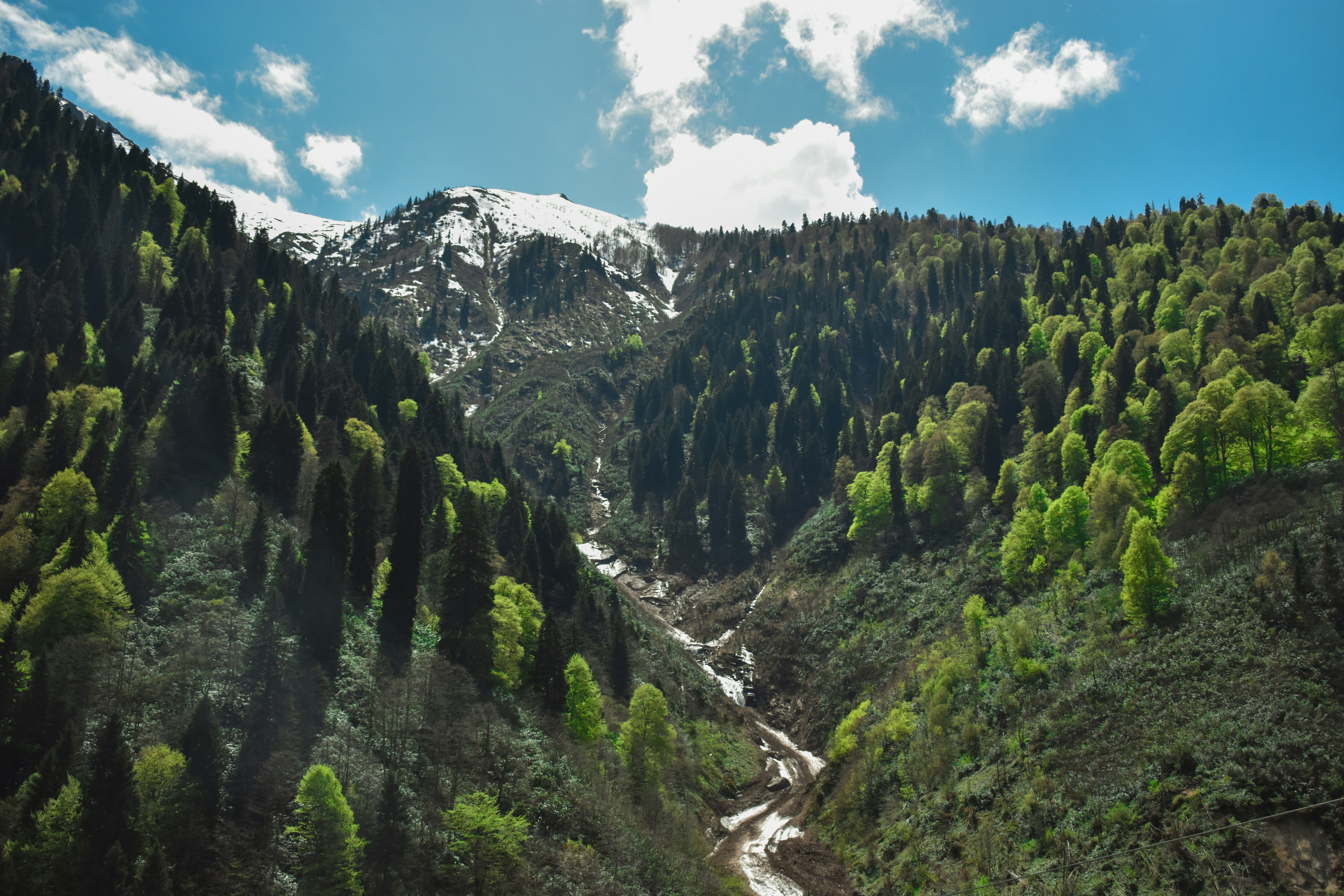 Photo by nisacokokumus