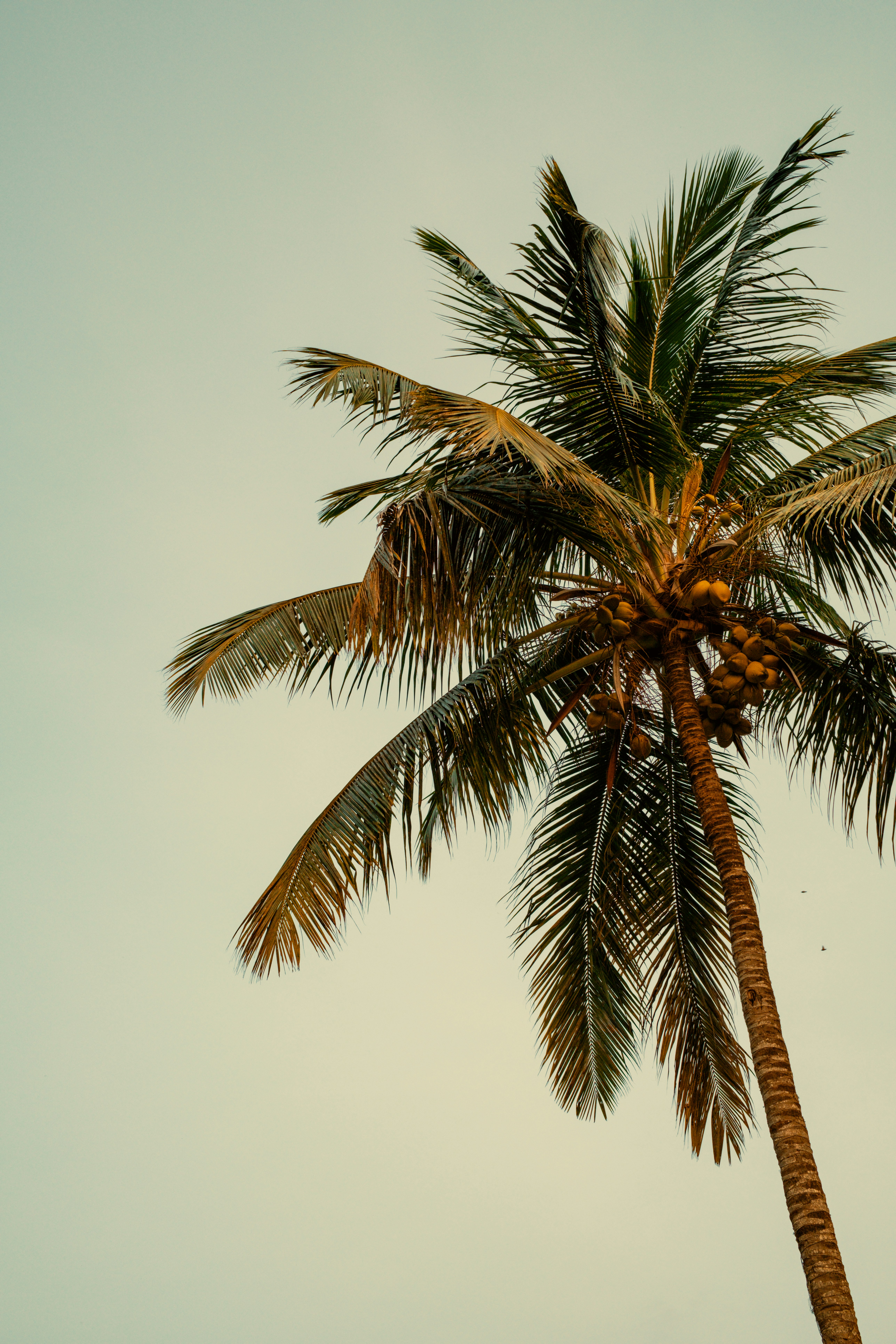 Photo by shawnmclark