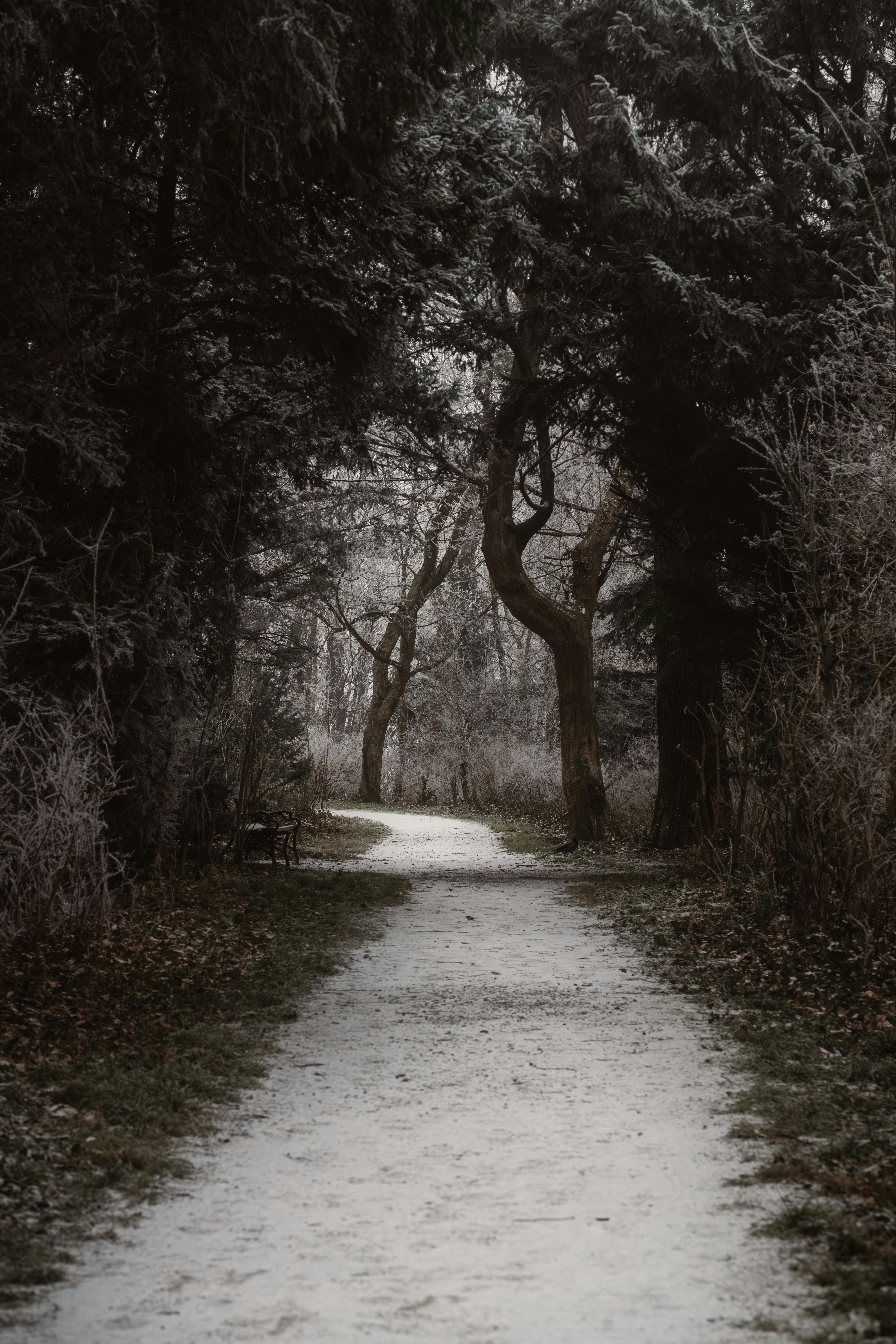 Photo by ahmetyuksek