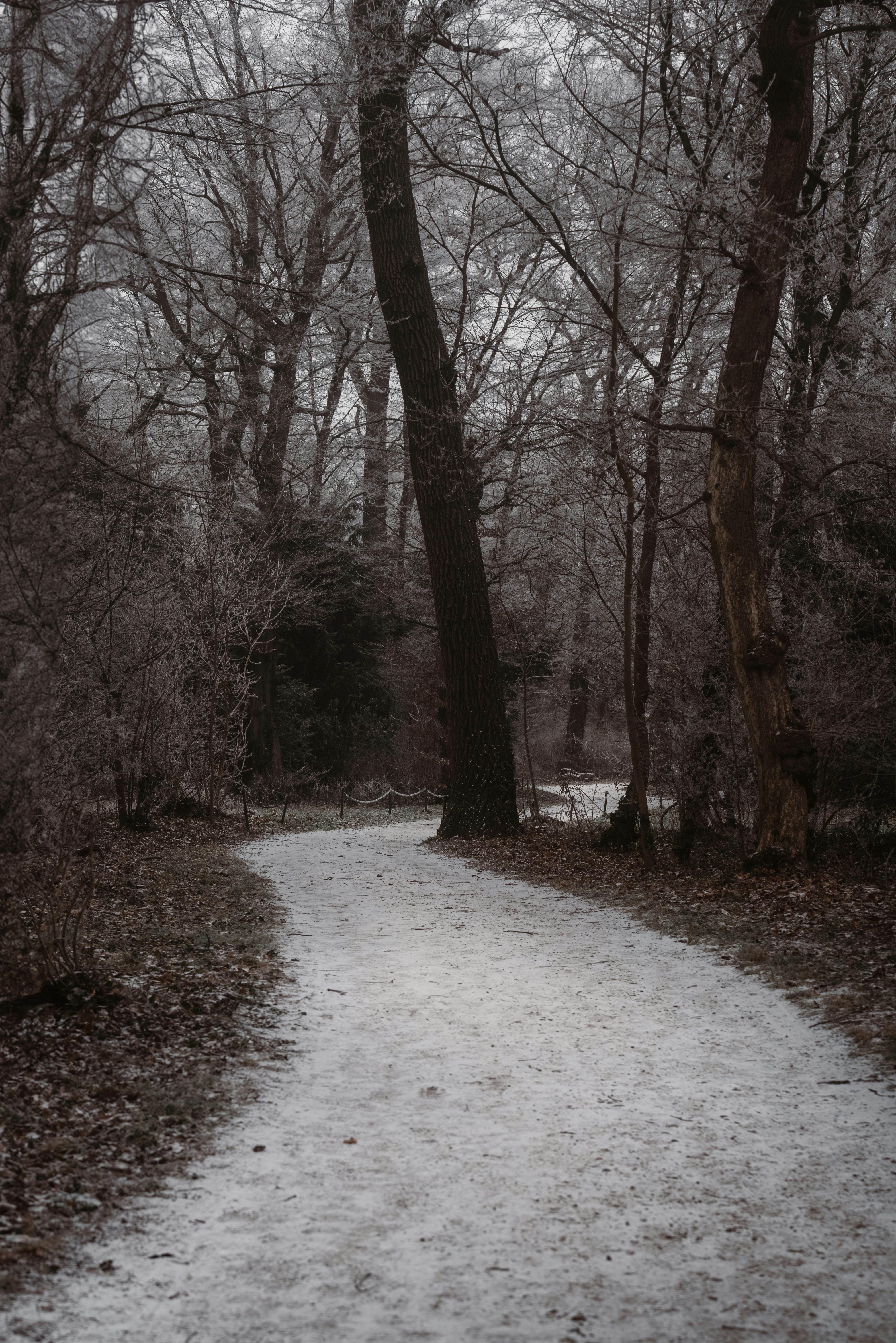 Photo by ahmetyuksek