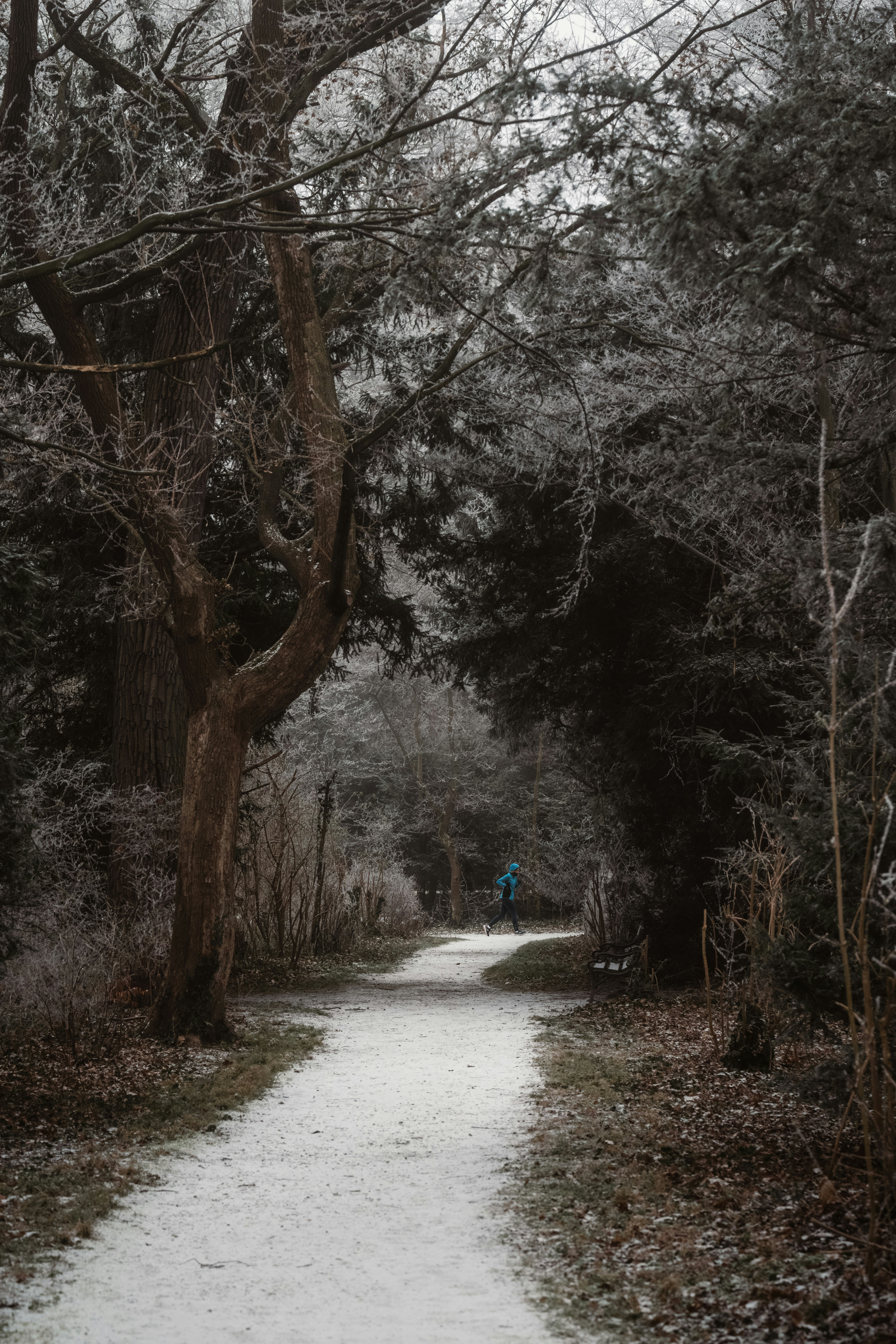 Photo by ahmetyuksek