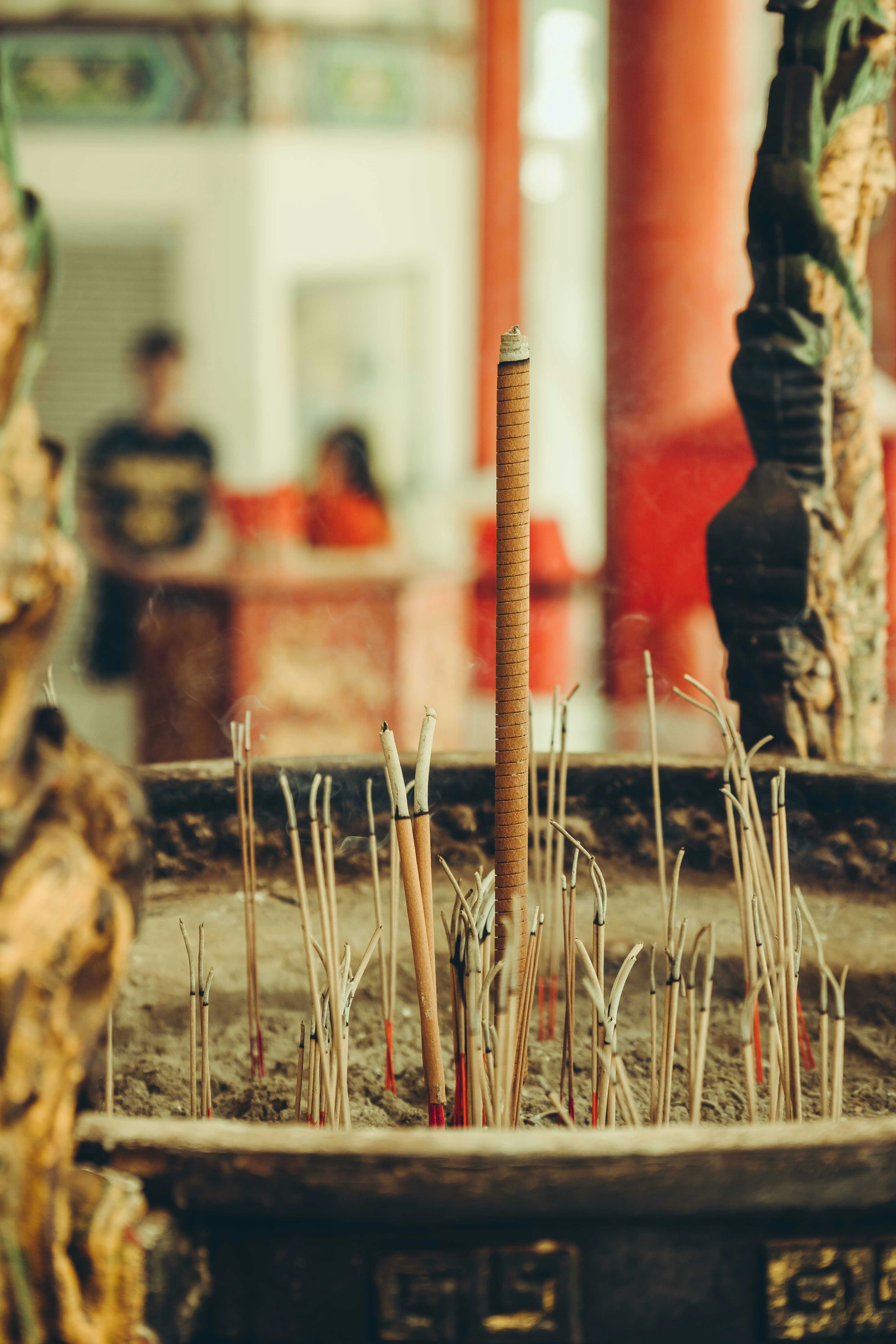 14 Cultural Experiences in Suriname That Show How Nature Shapes Traditions