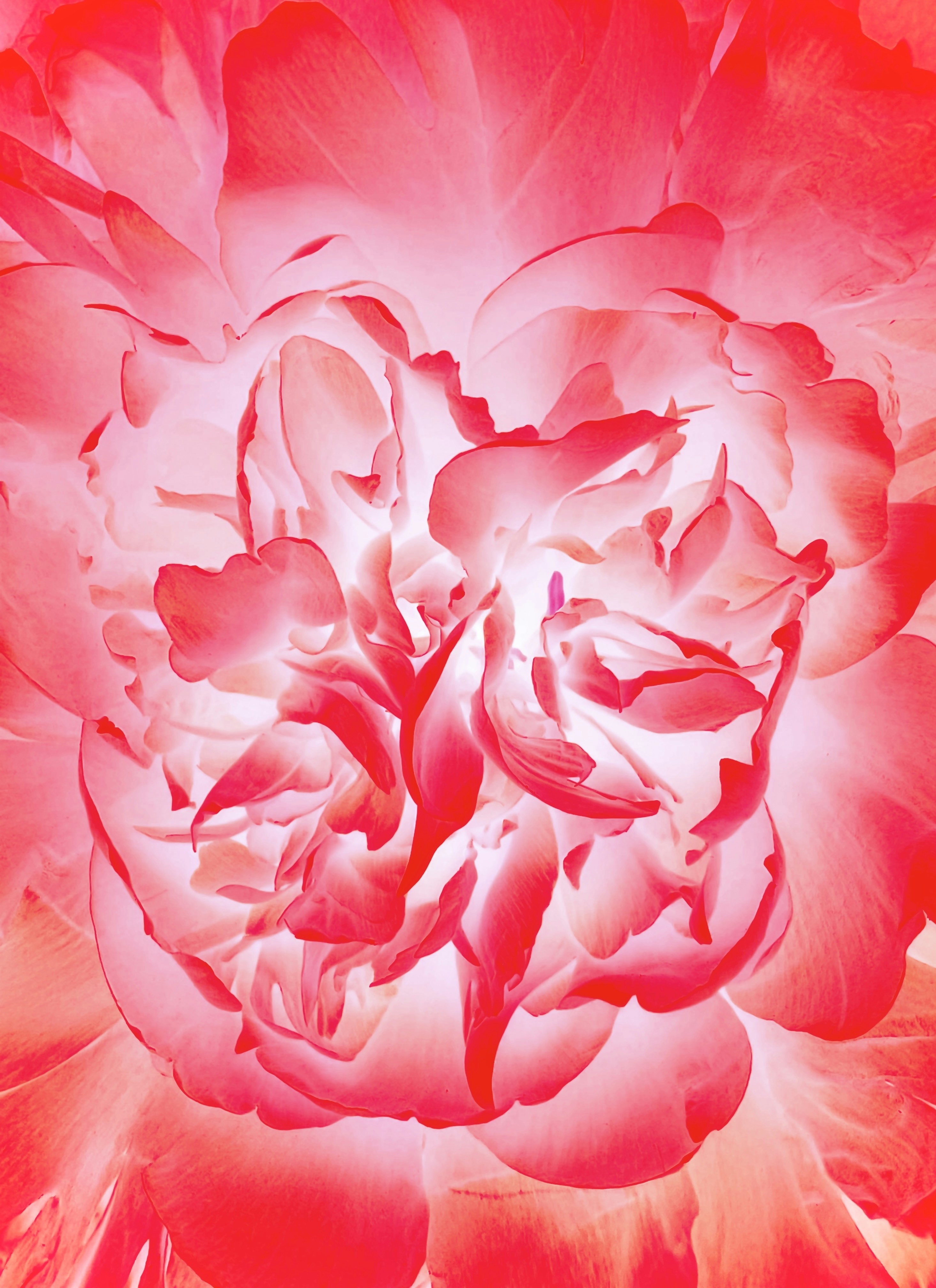 Photo by eugene_golovesov