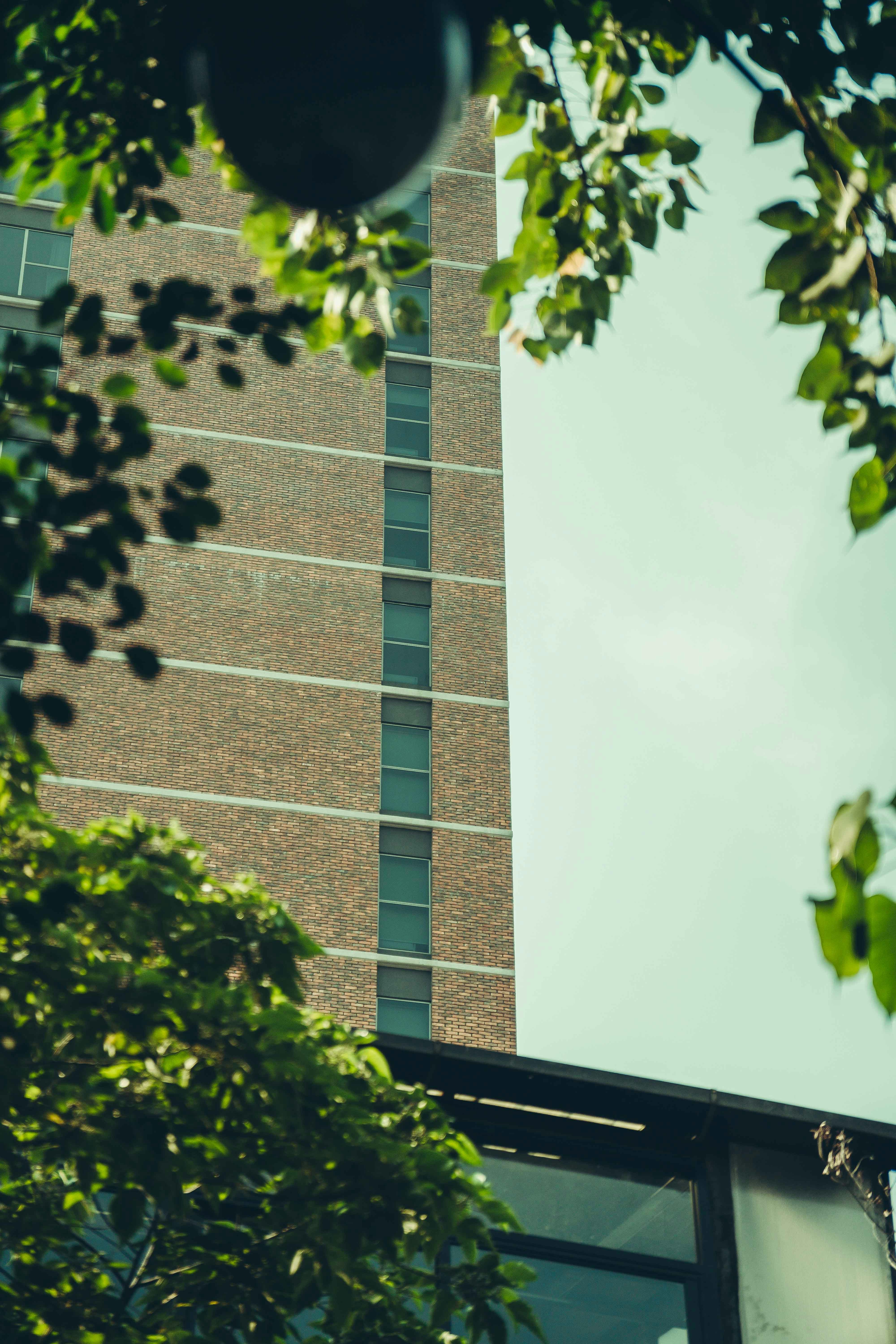 Photo by thejourneyofframes