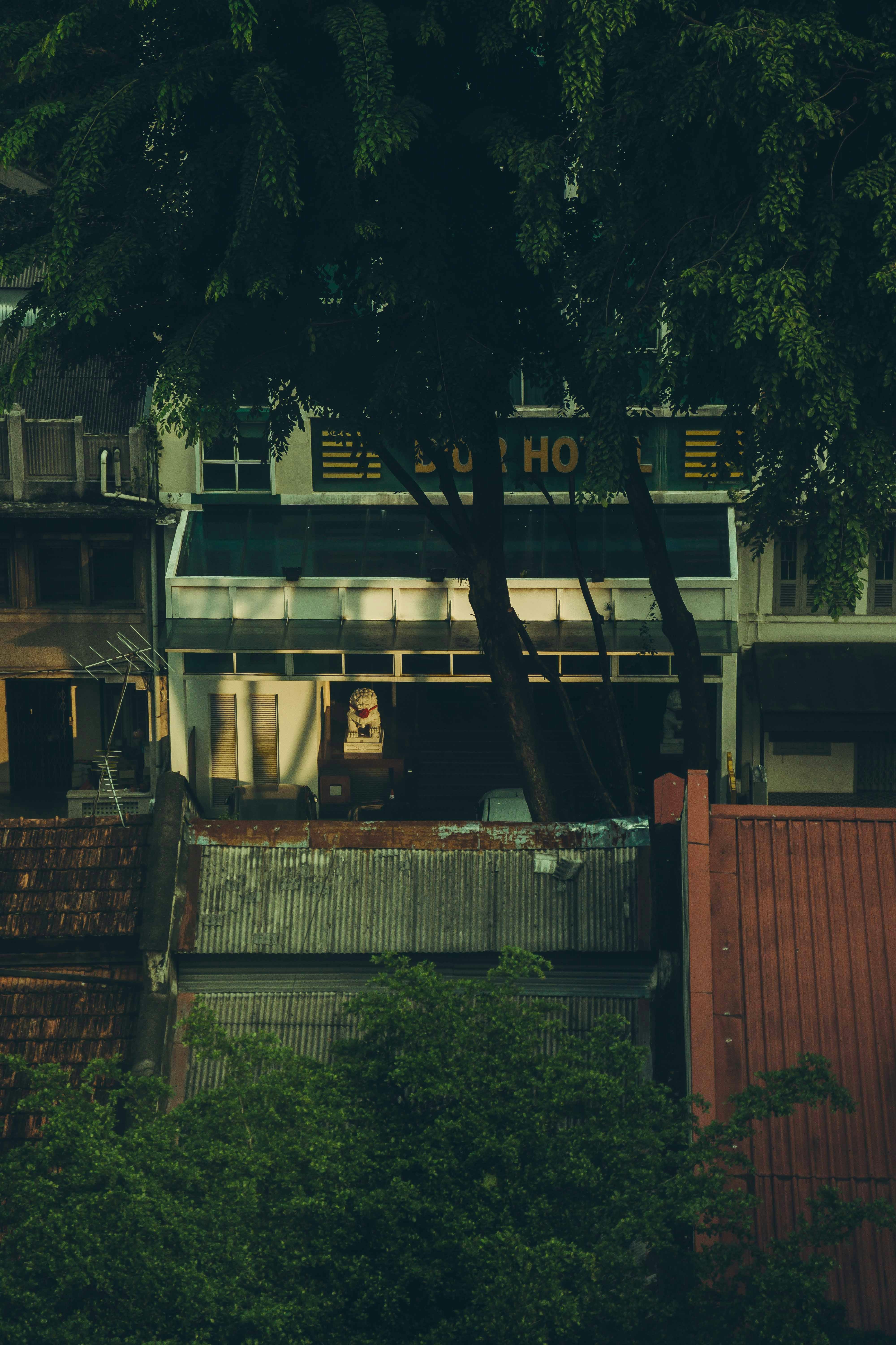 Photo by thejourneyofframes