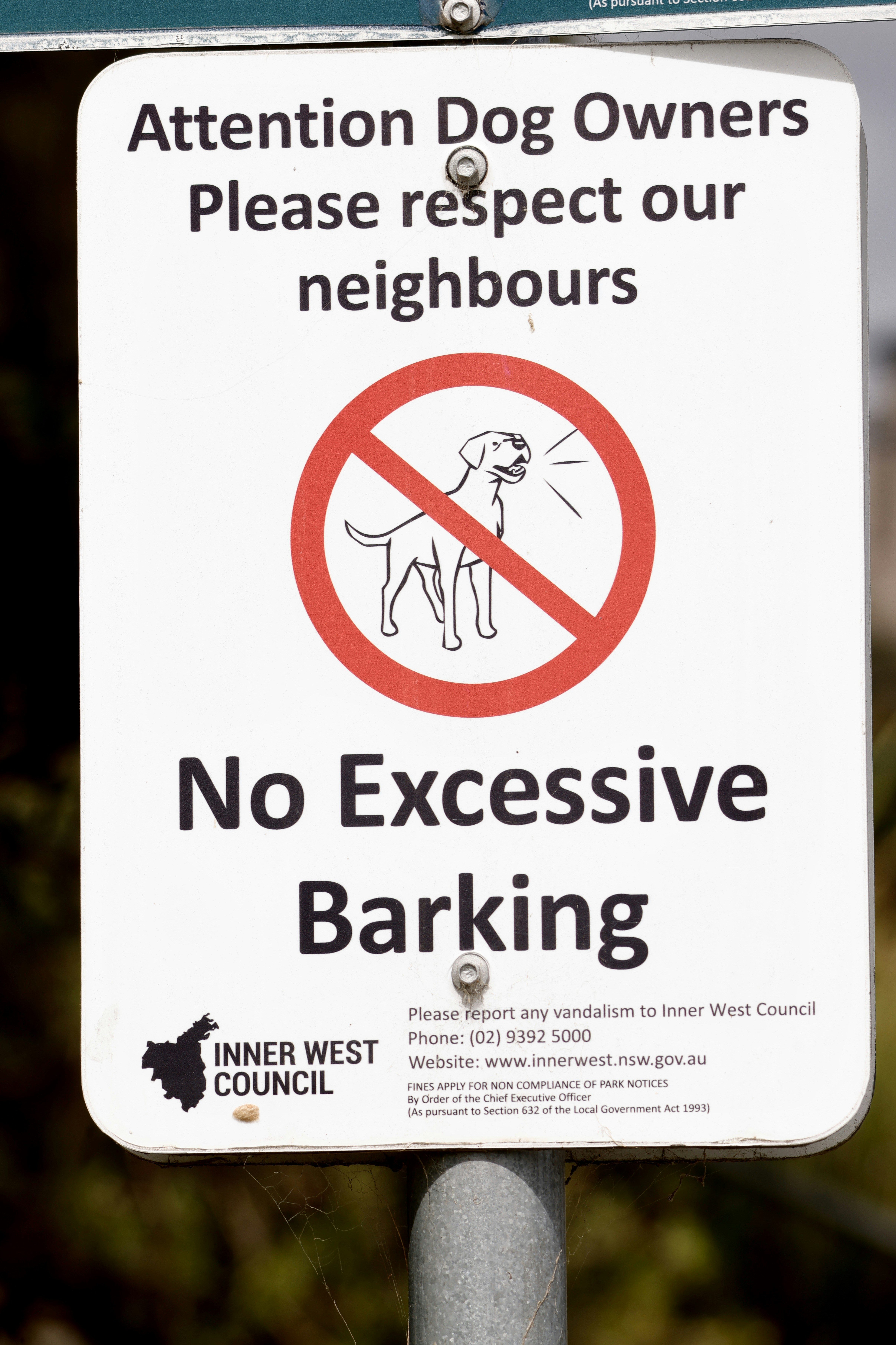 6 Expectations Owners Should Set When Trying to Stop Dog Barking