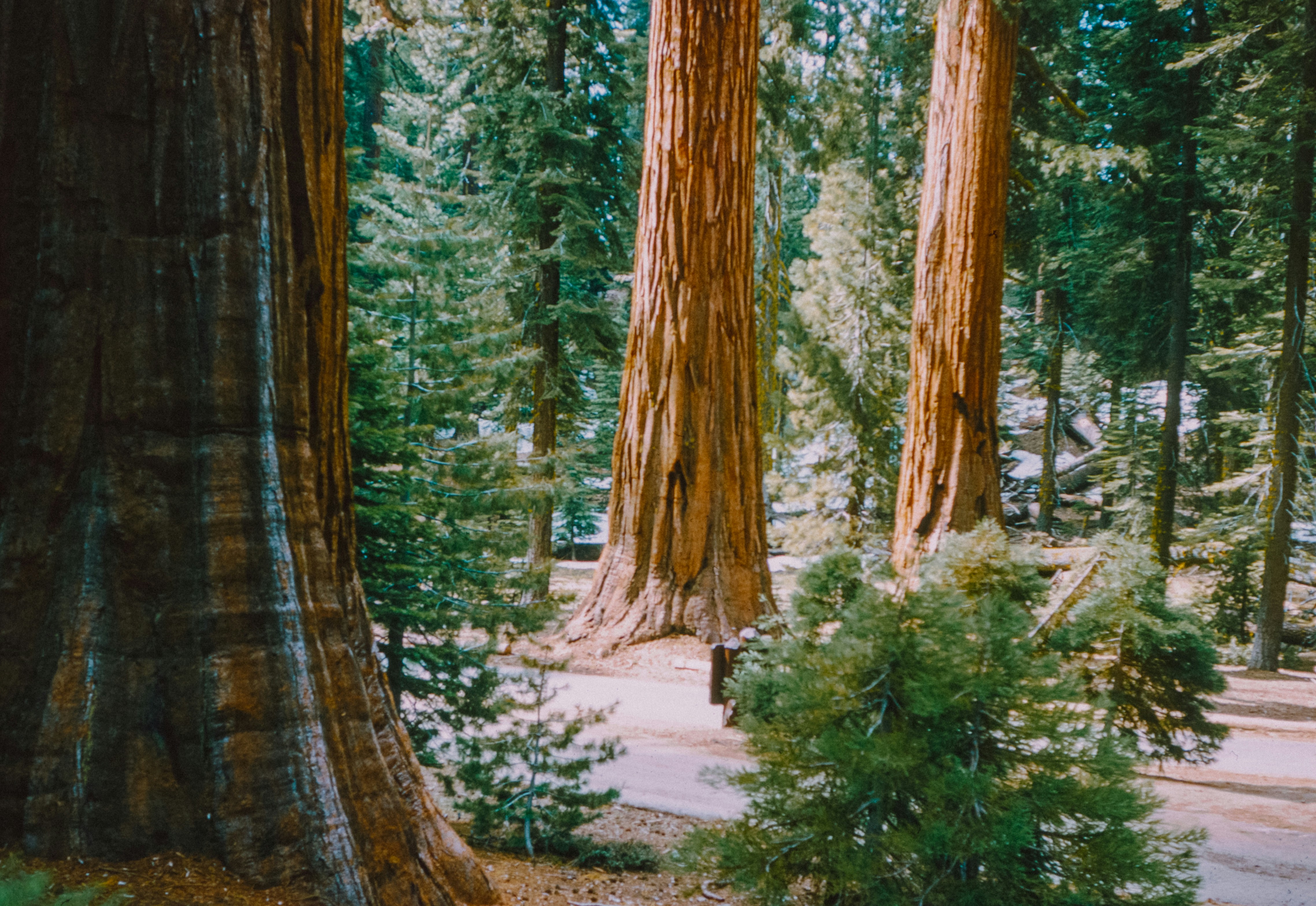 Photo by anniespratt