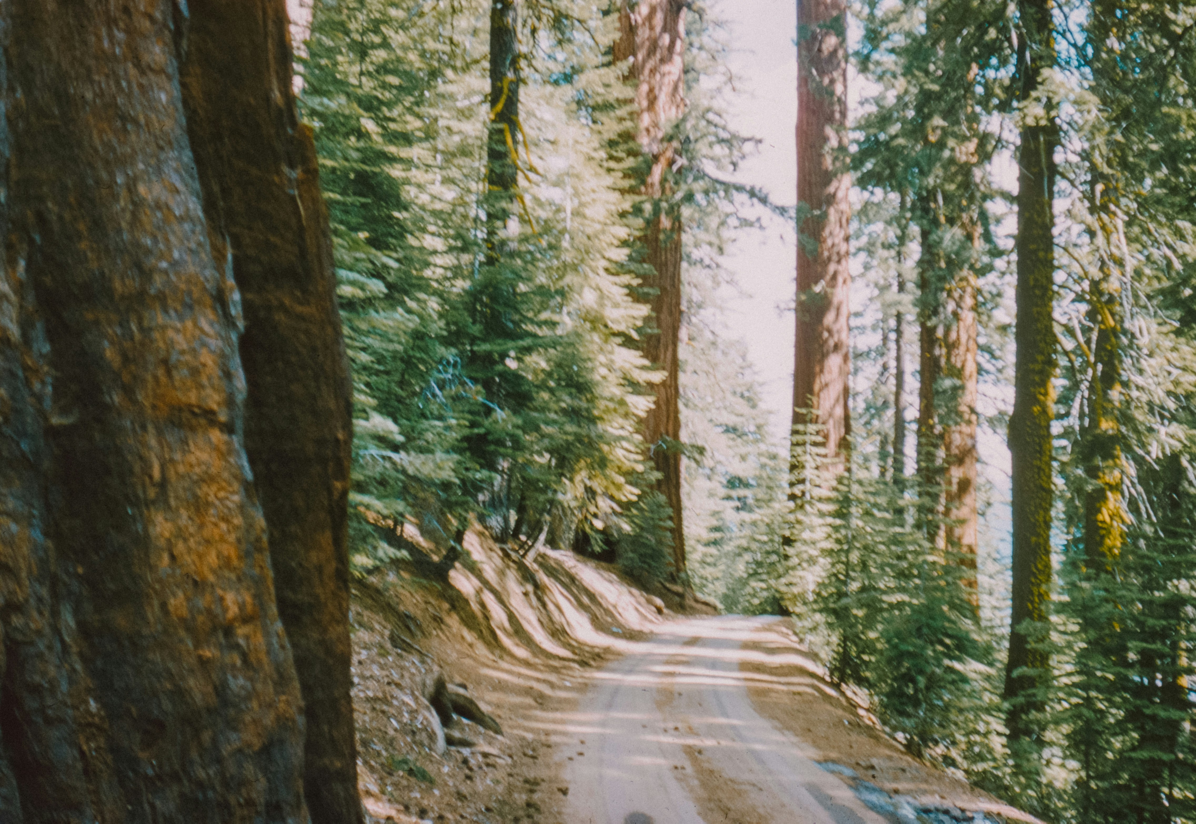 Photo by anniespratt