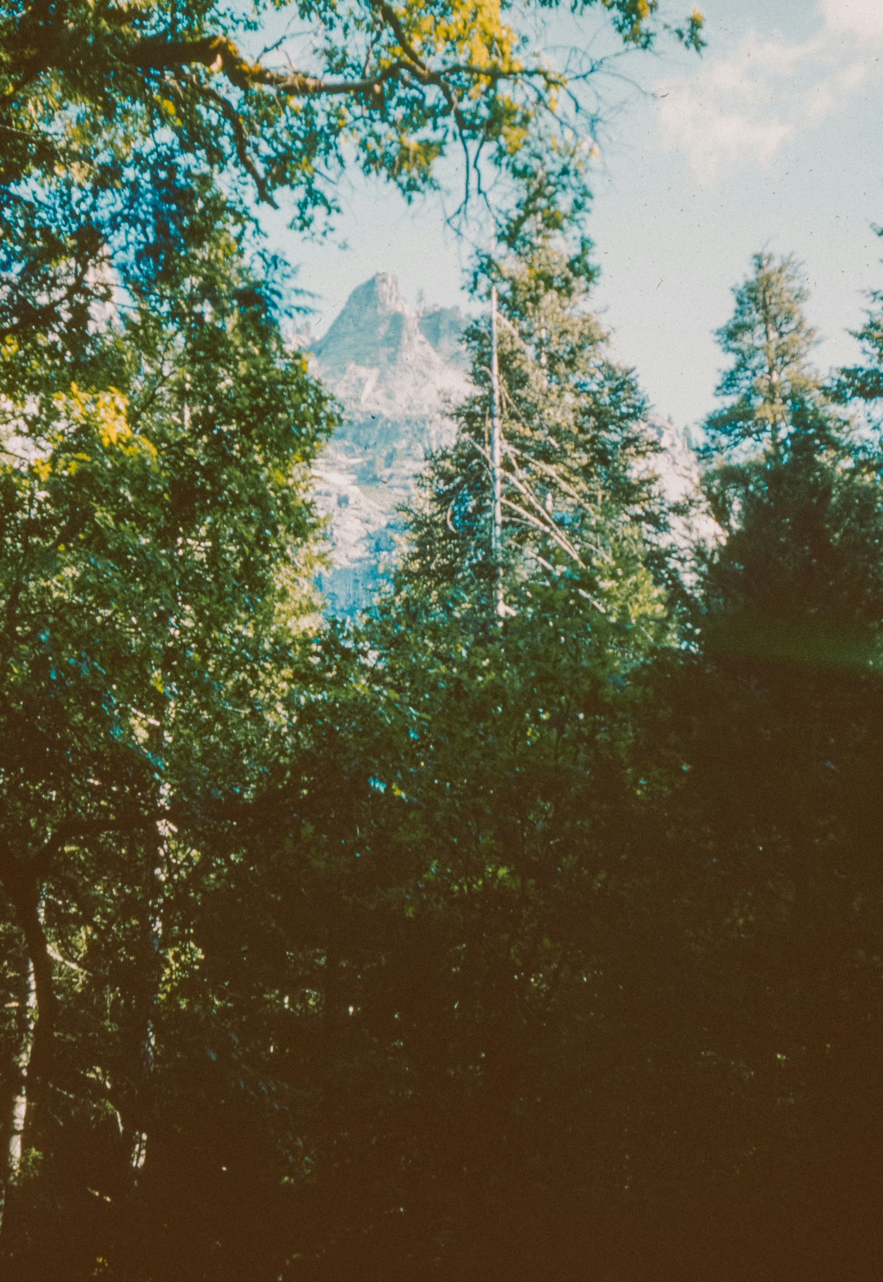 Photo by anniespratt