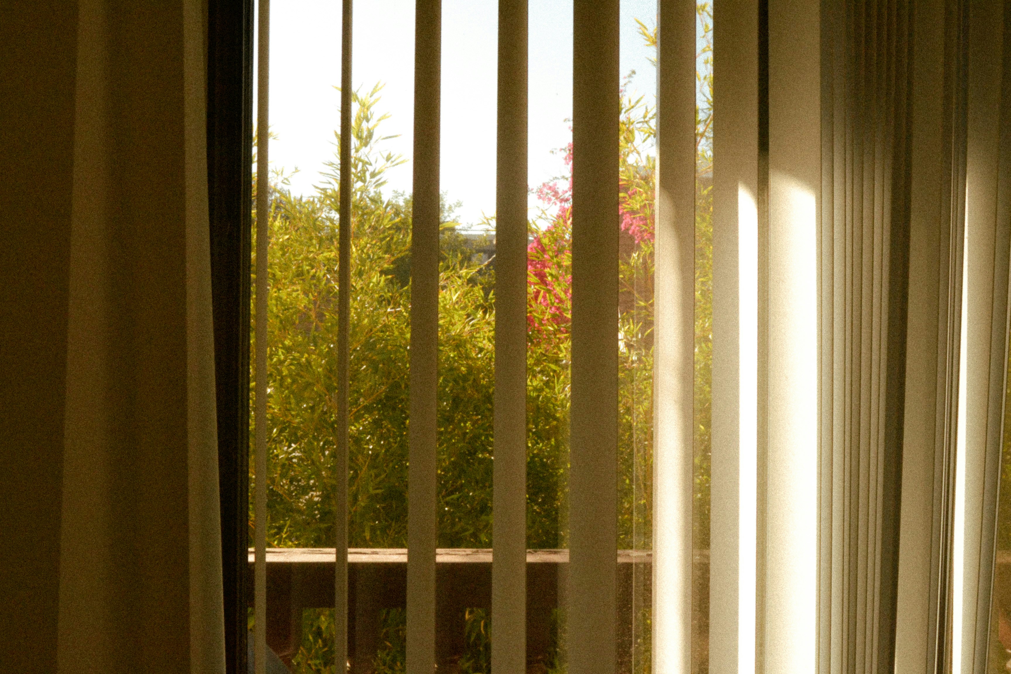 Photo by thingsneverchange