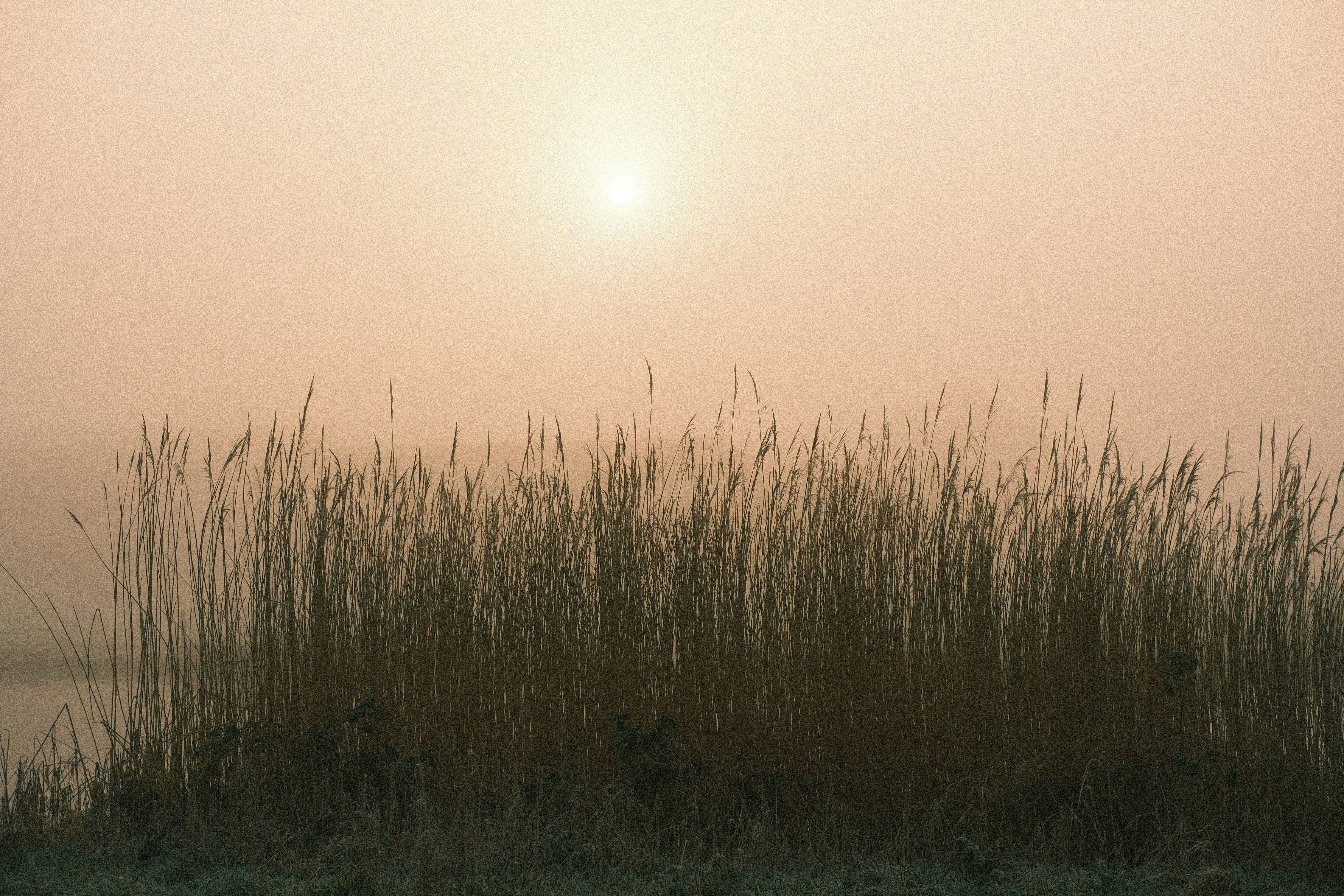 Photo by visualsbying