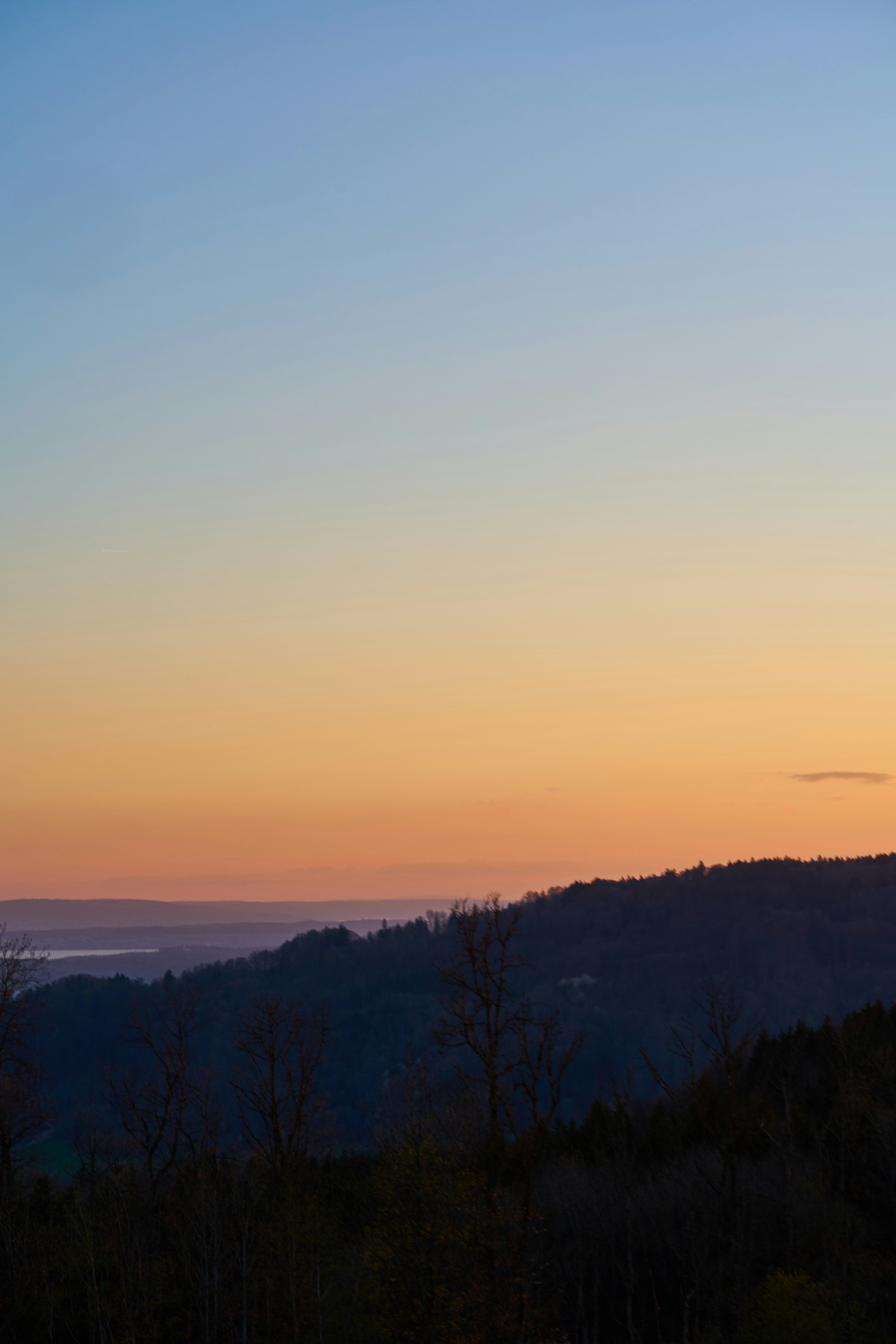 Photo by wolfgang_hasselmann