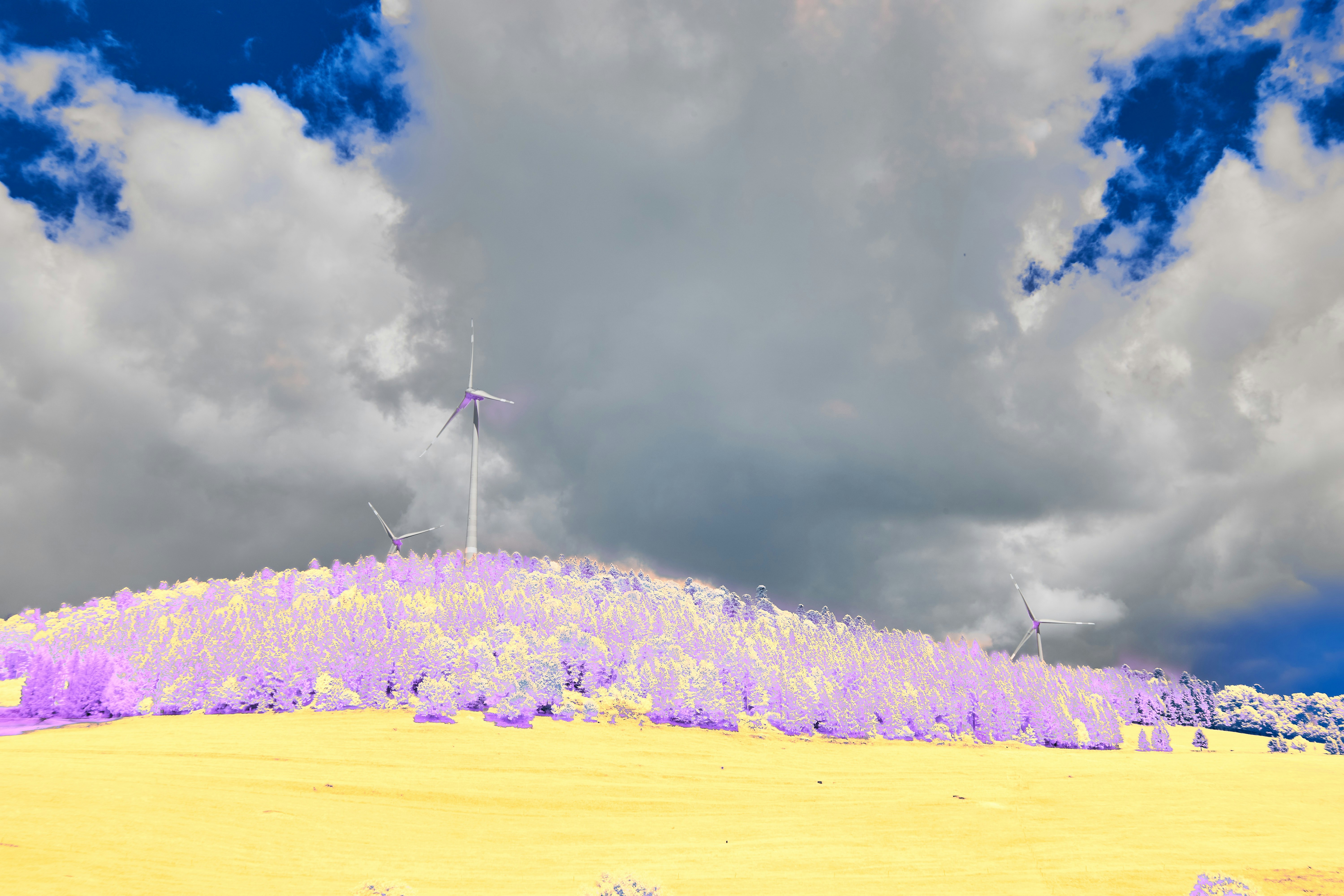 Photo by wolfgang_hasselmann