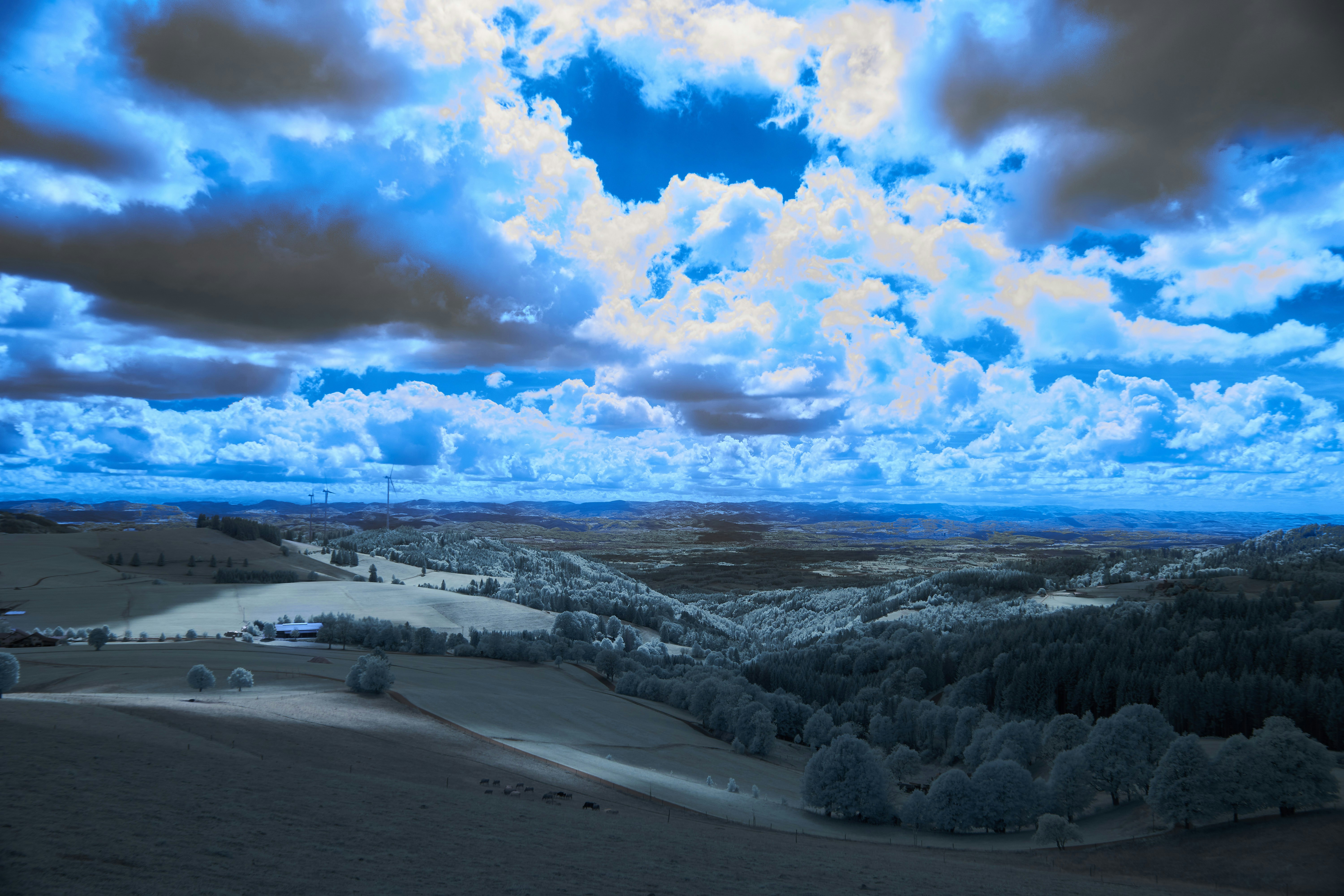 Photo by wolfgang_hasselmann