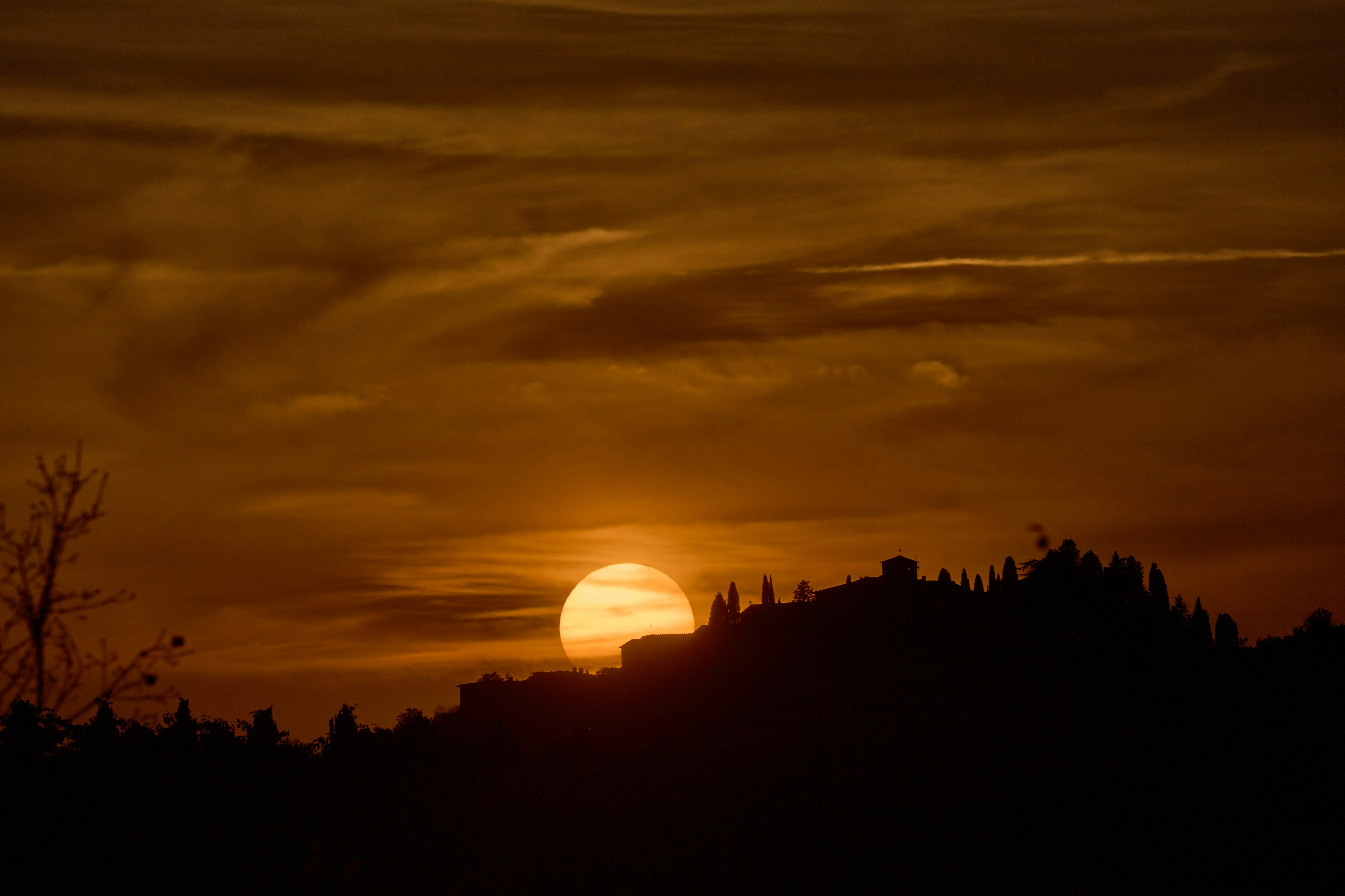 Photo by wolfgang_hasselmann