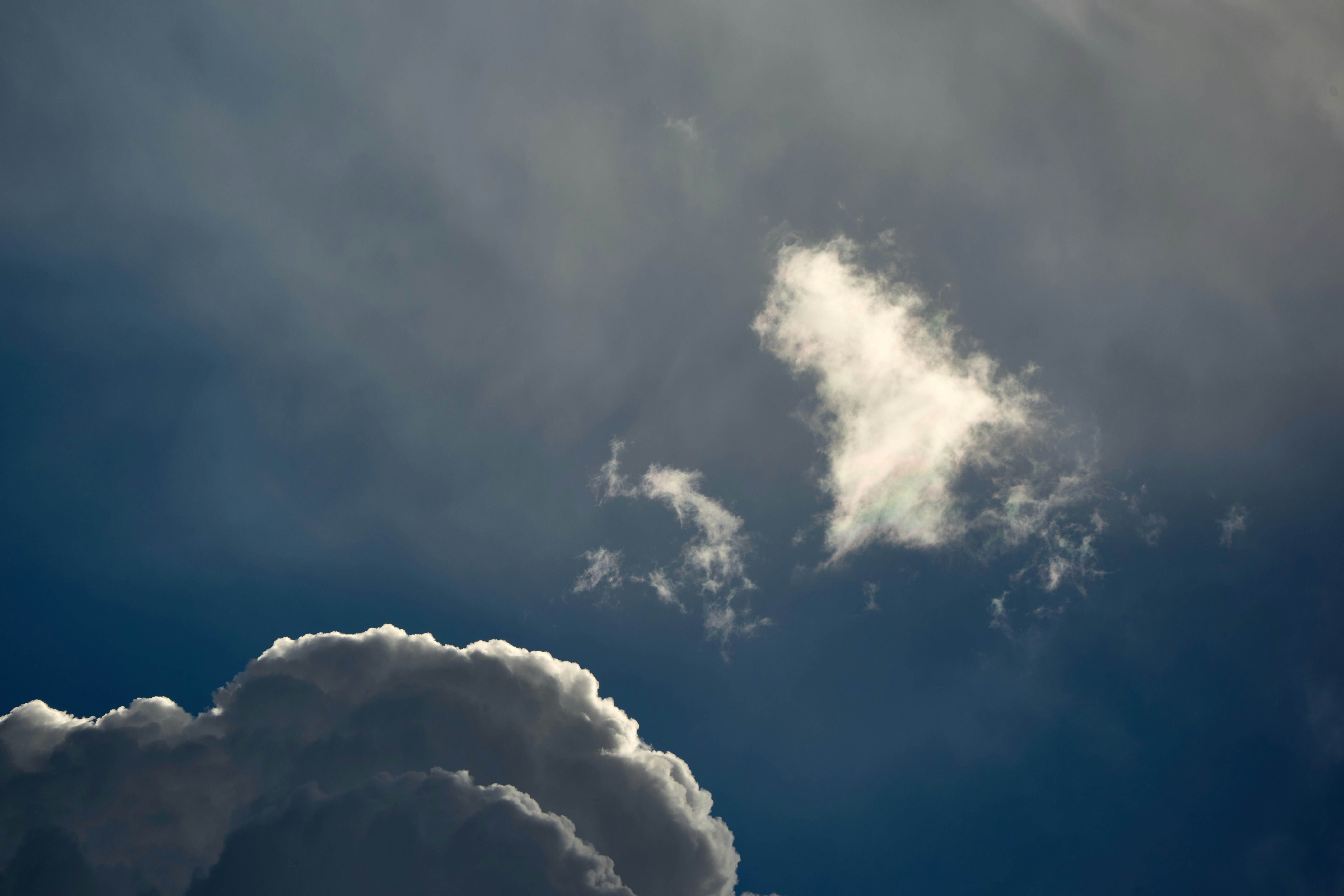 Photo by wolfgang_hasselmann