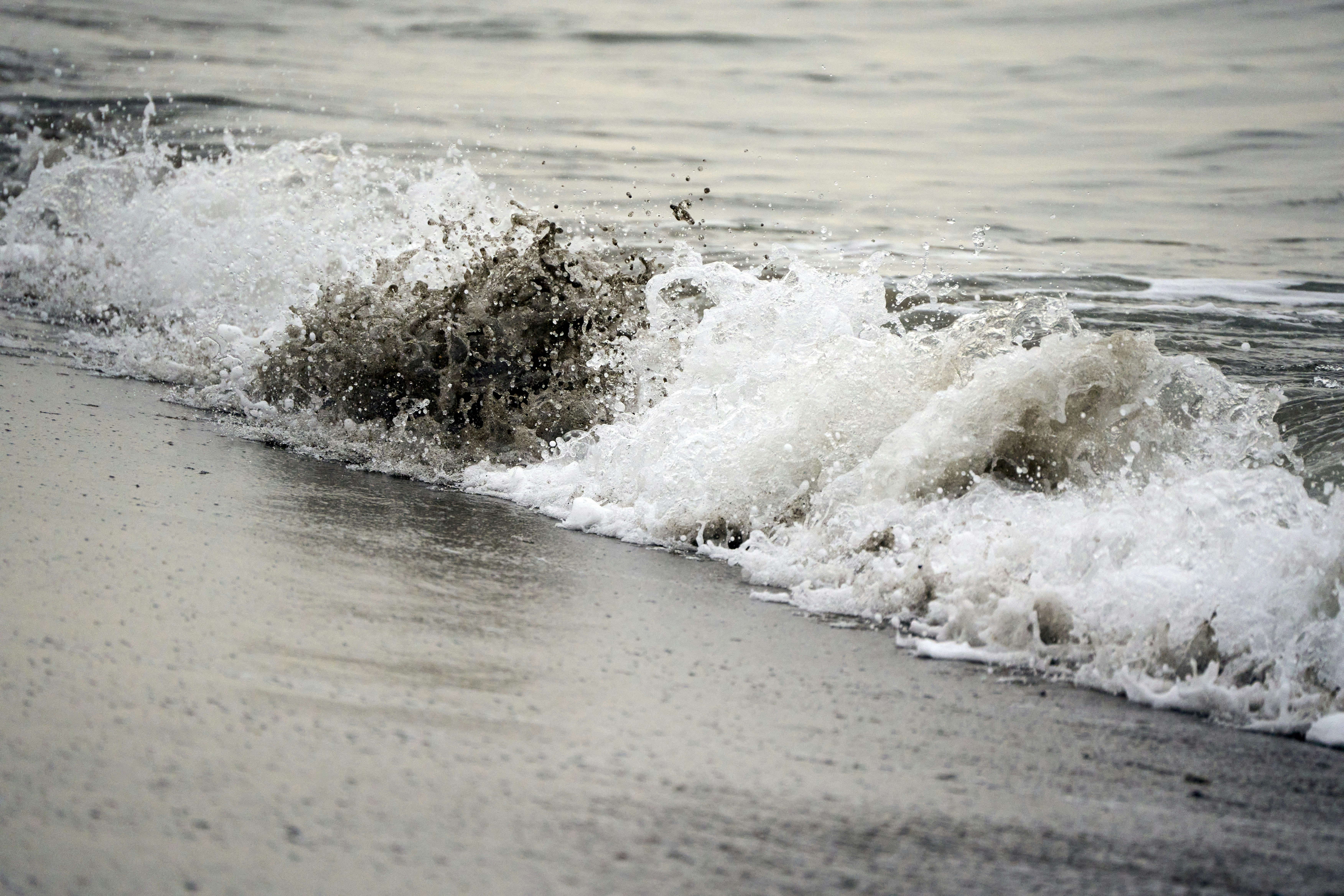 Photo by wolfgang_hasselmann