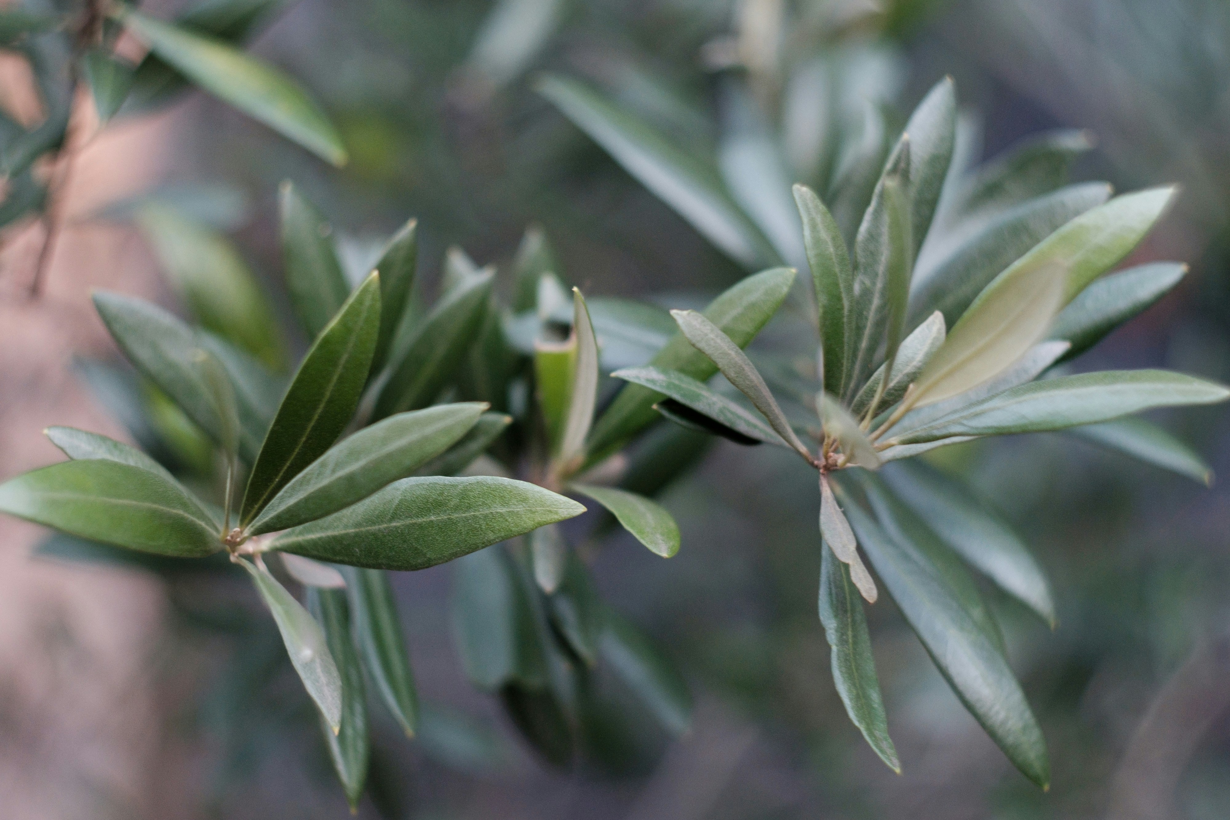 Photo by markuswinkler